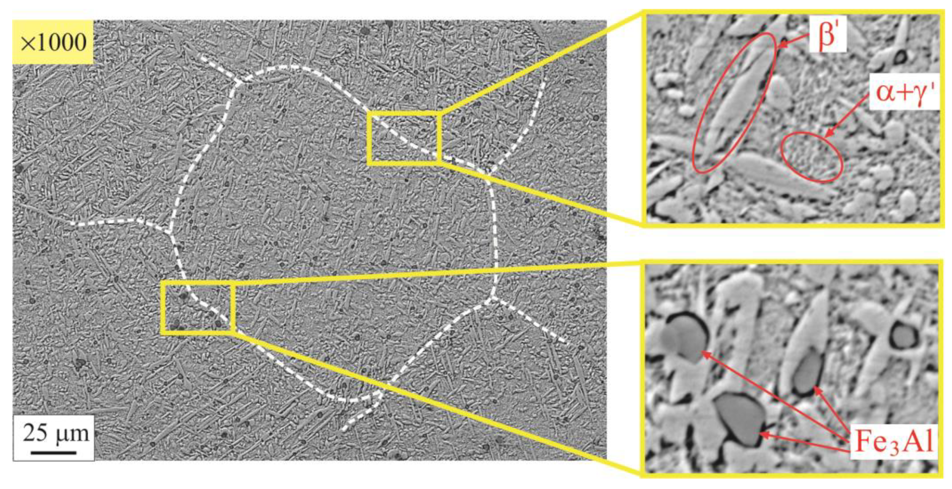 Metals 13 01930 g011