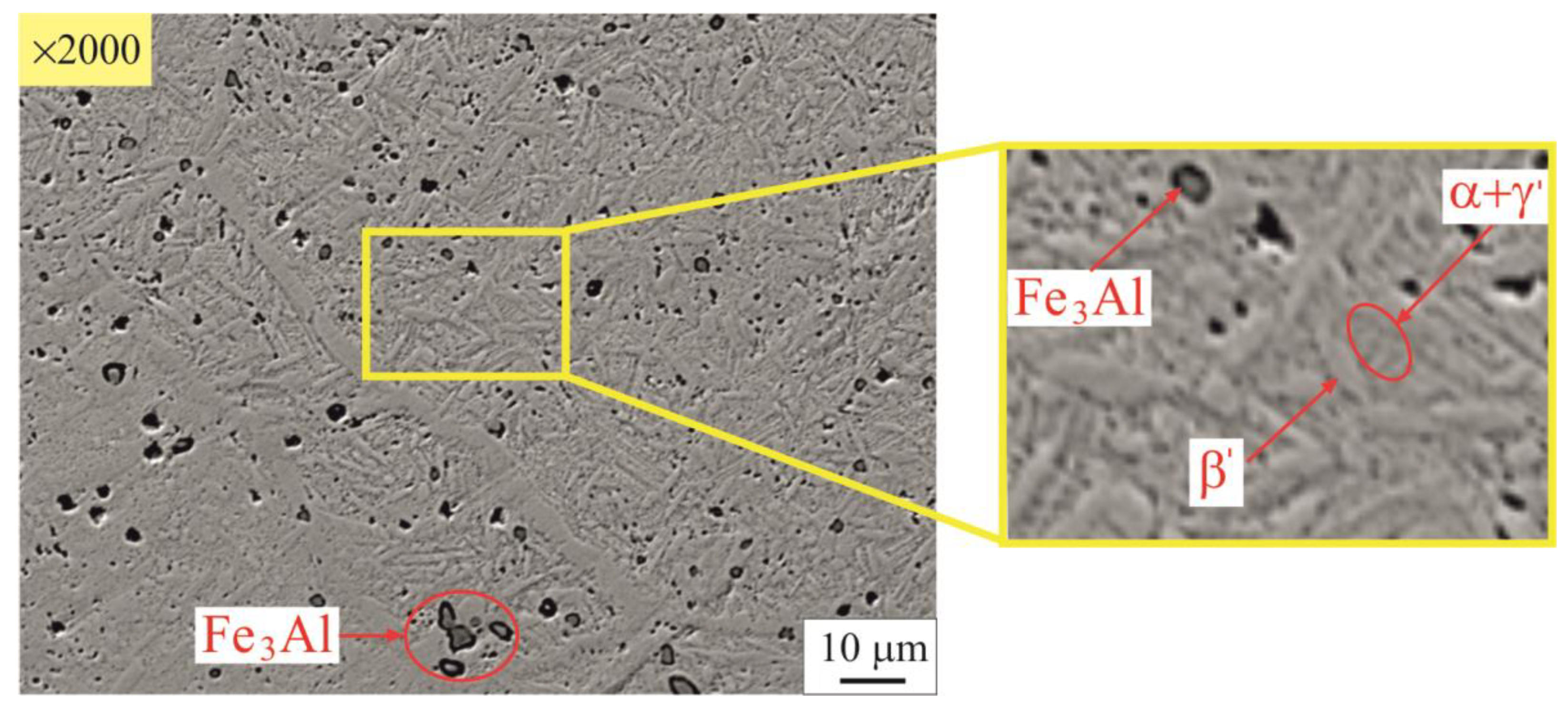 Metals 13 01930 g013