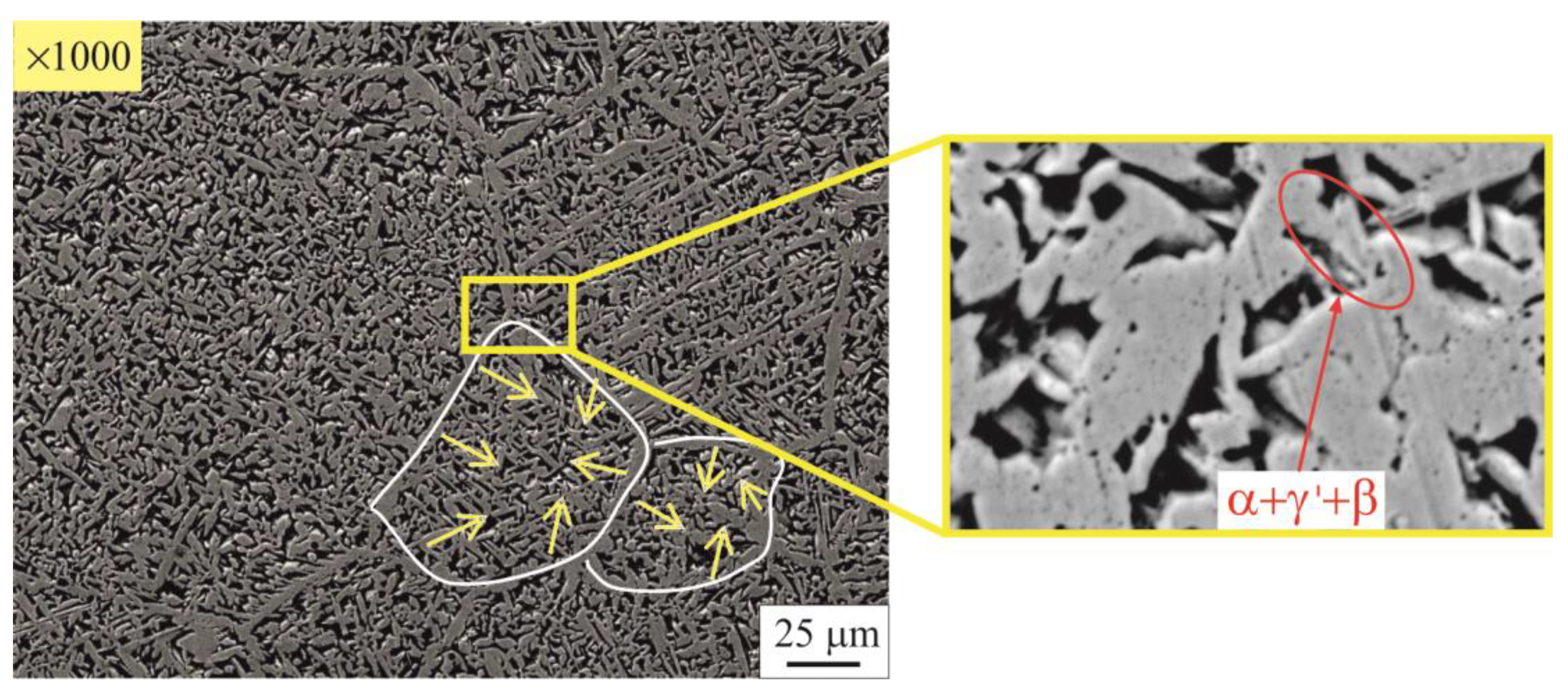 Metals 13 01930 g016