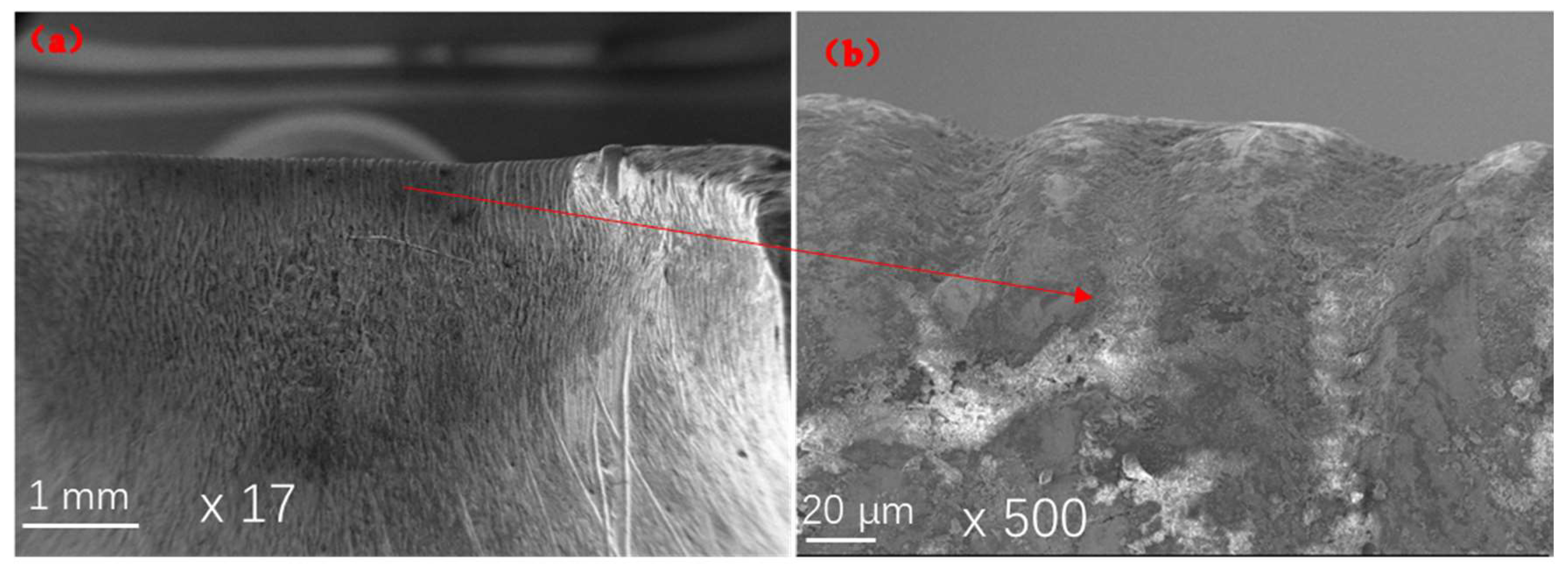 Metals 13 01933 g005