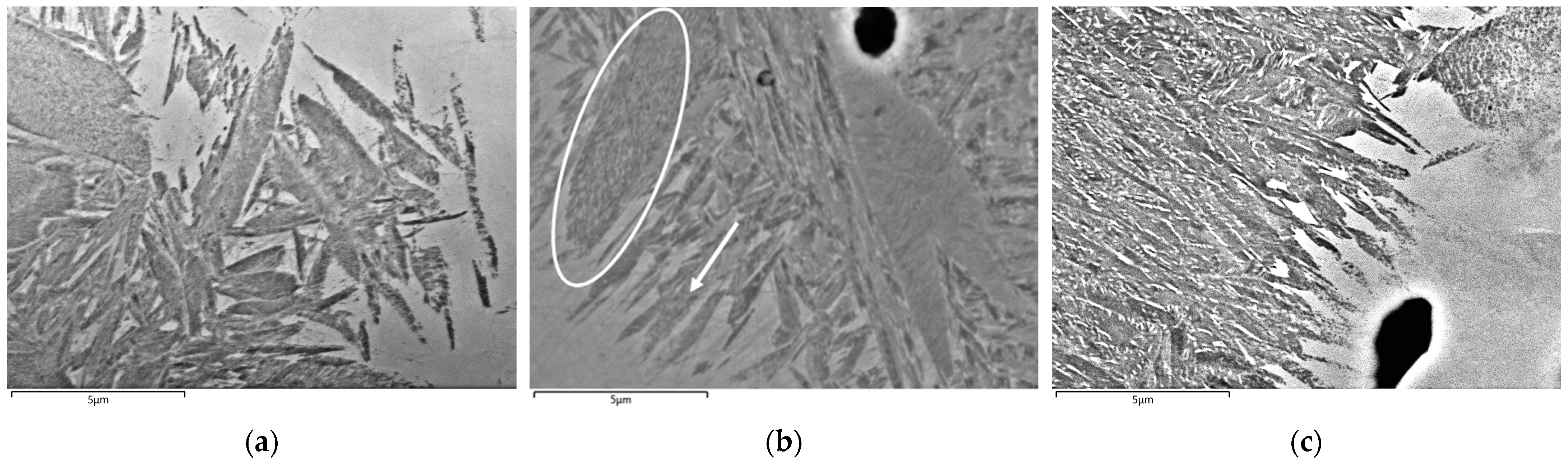 Metals 13 01940 g006