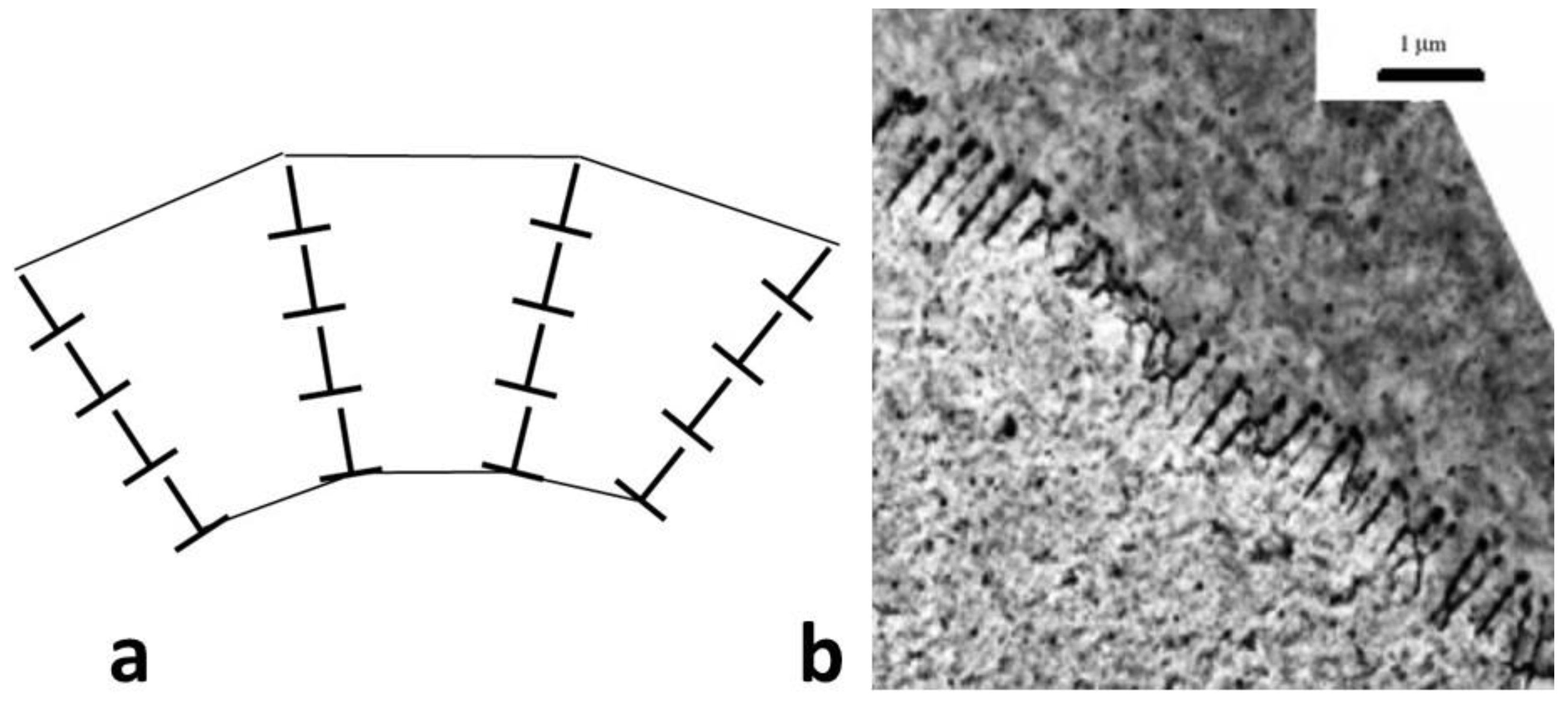 Metals 13 01950 g006