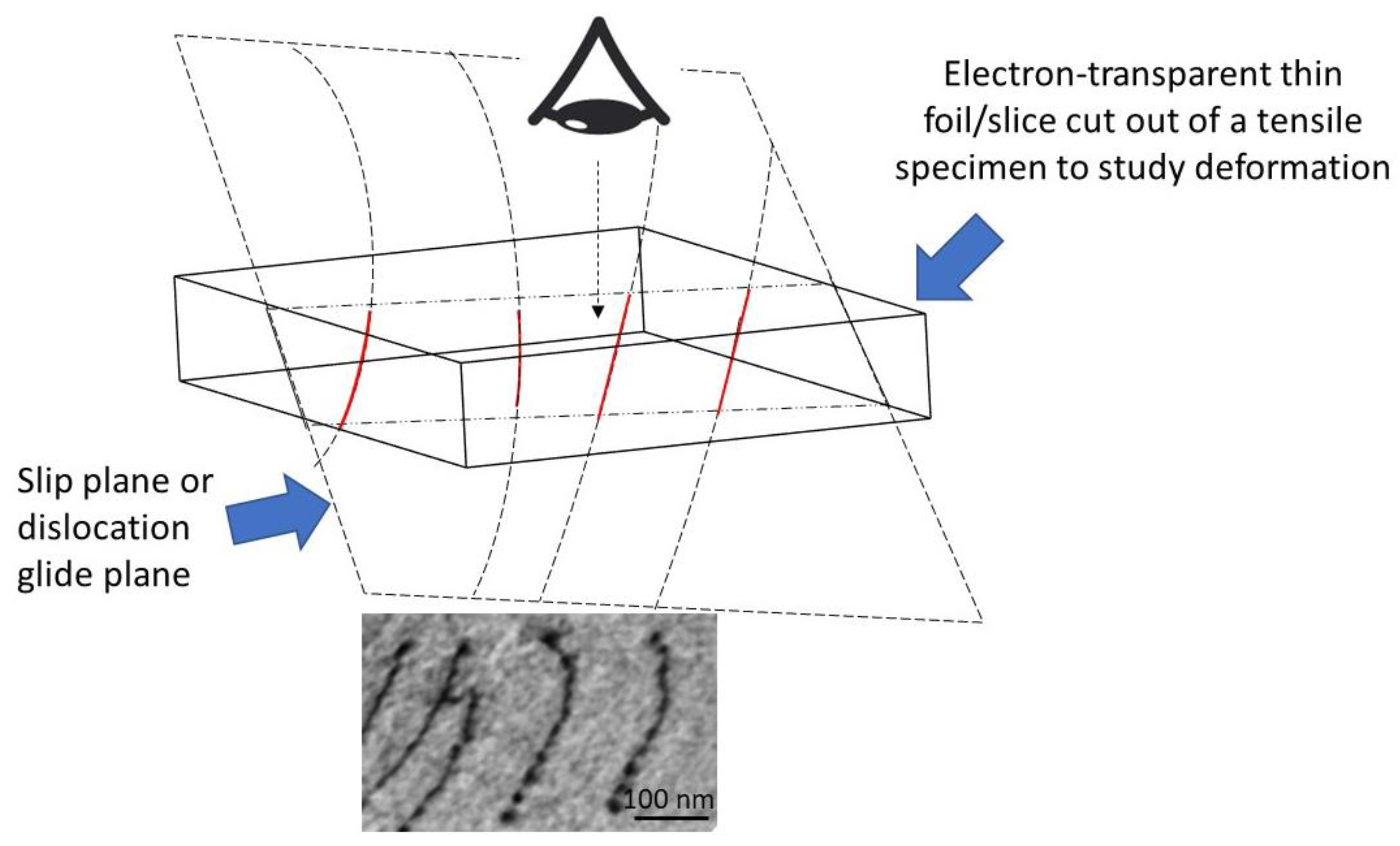 Metals 13 01950 g010