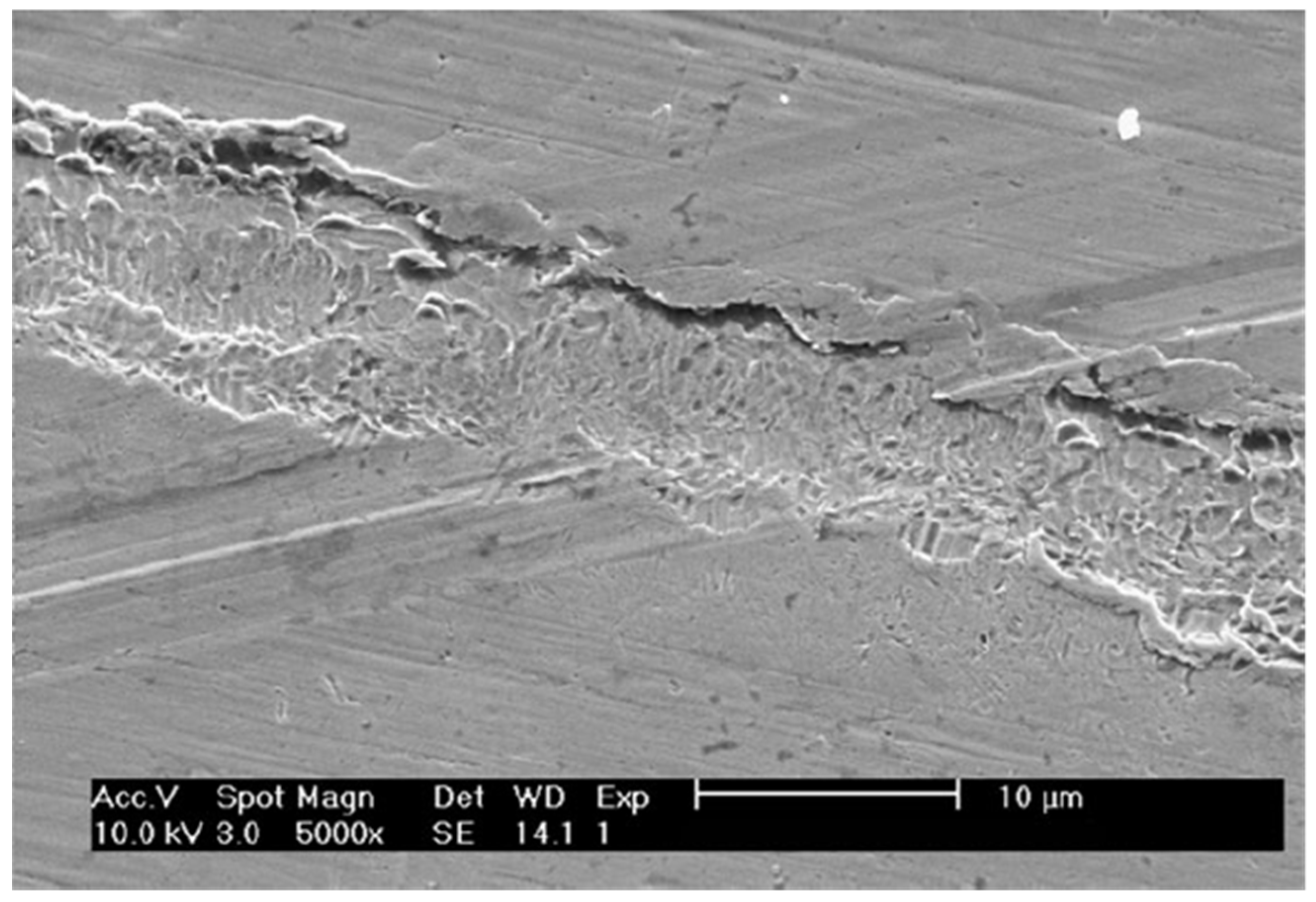 Metals 13 01955 g006