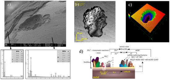 Metals 13 01955 g007