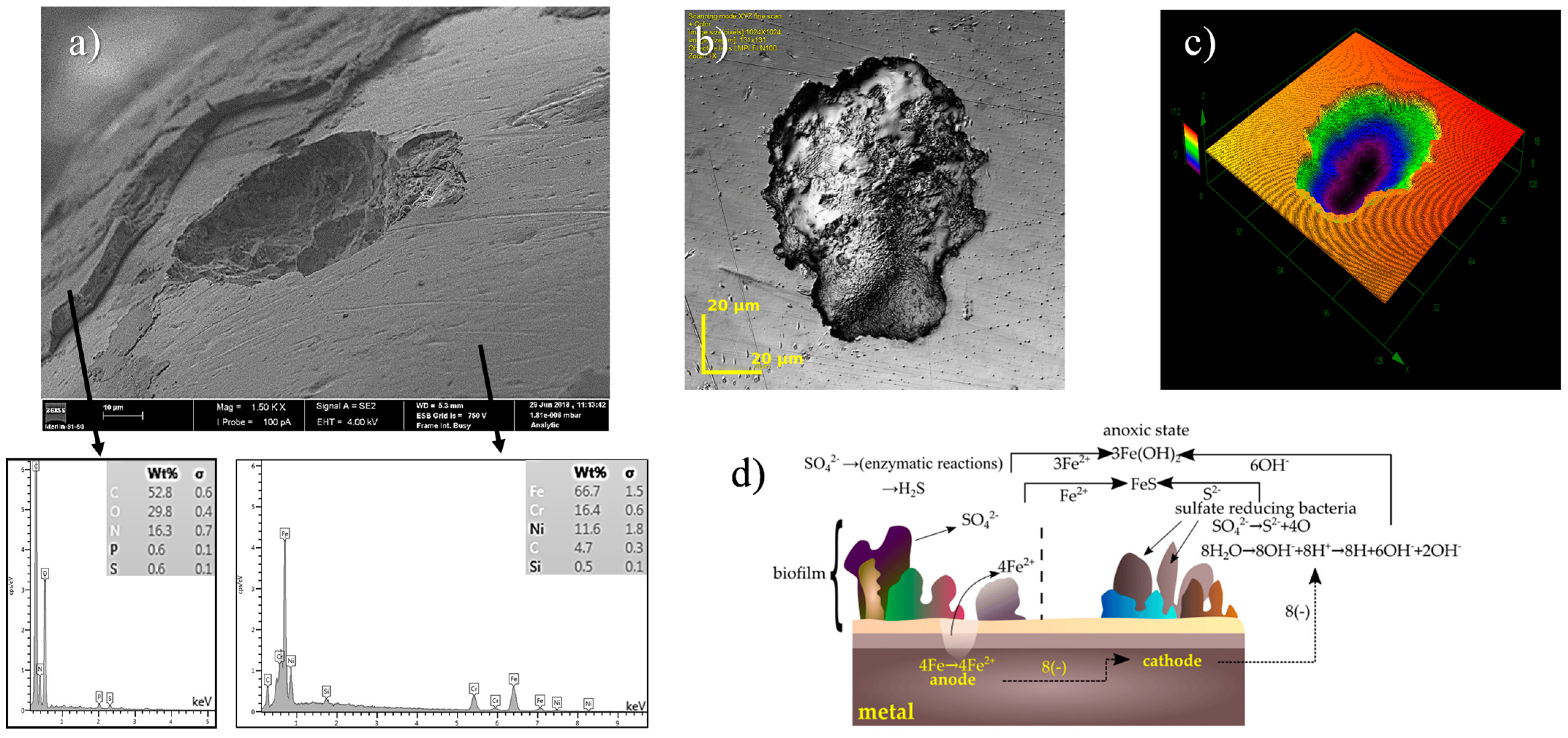 Metals 13 01955 g007