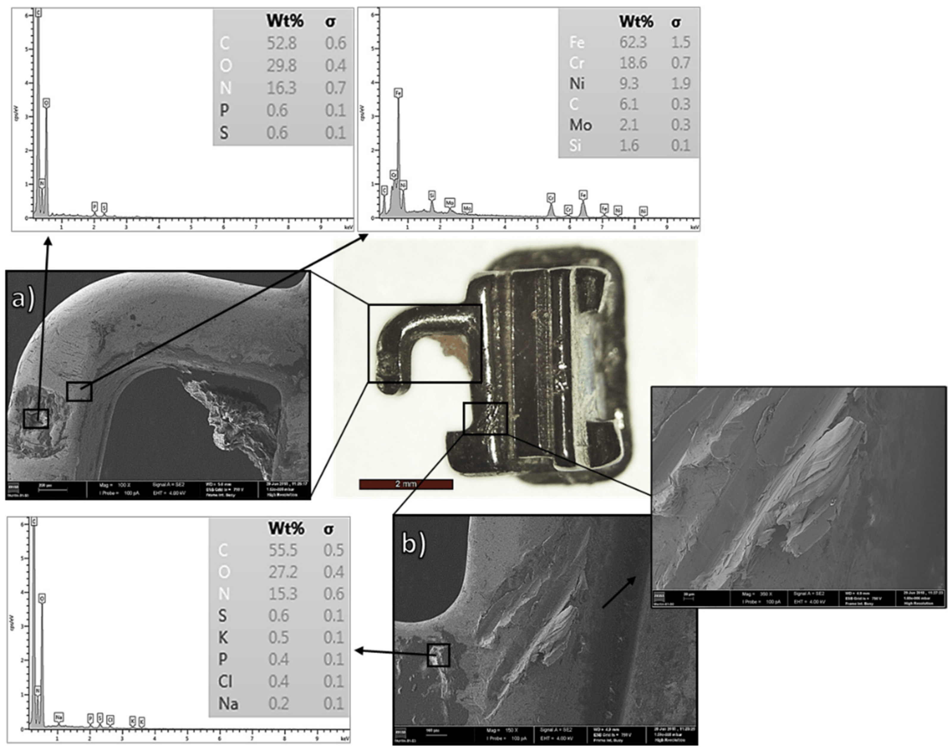 Metals 13 01955 g013