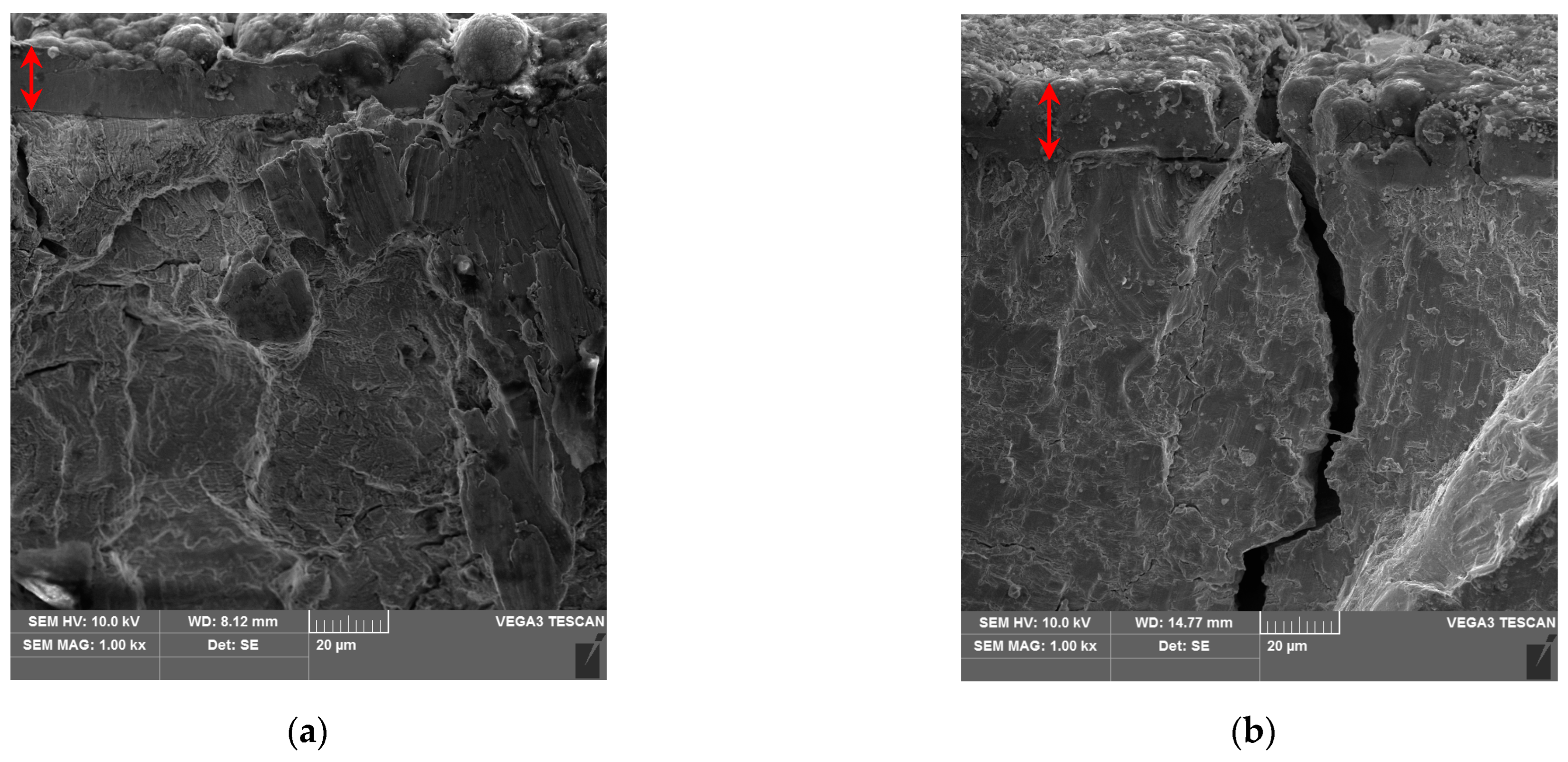 Metals 13 01956 g003