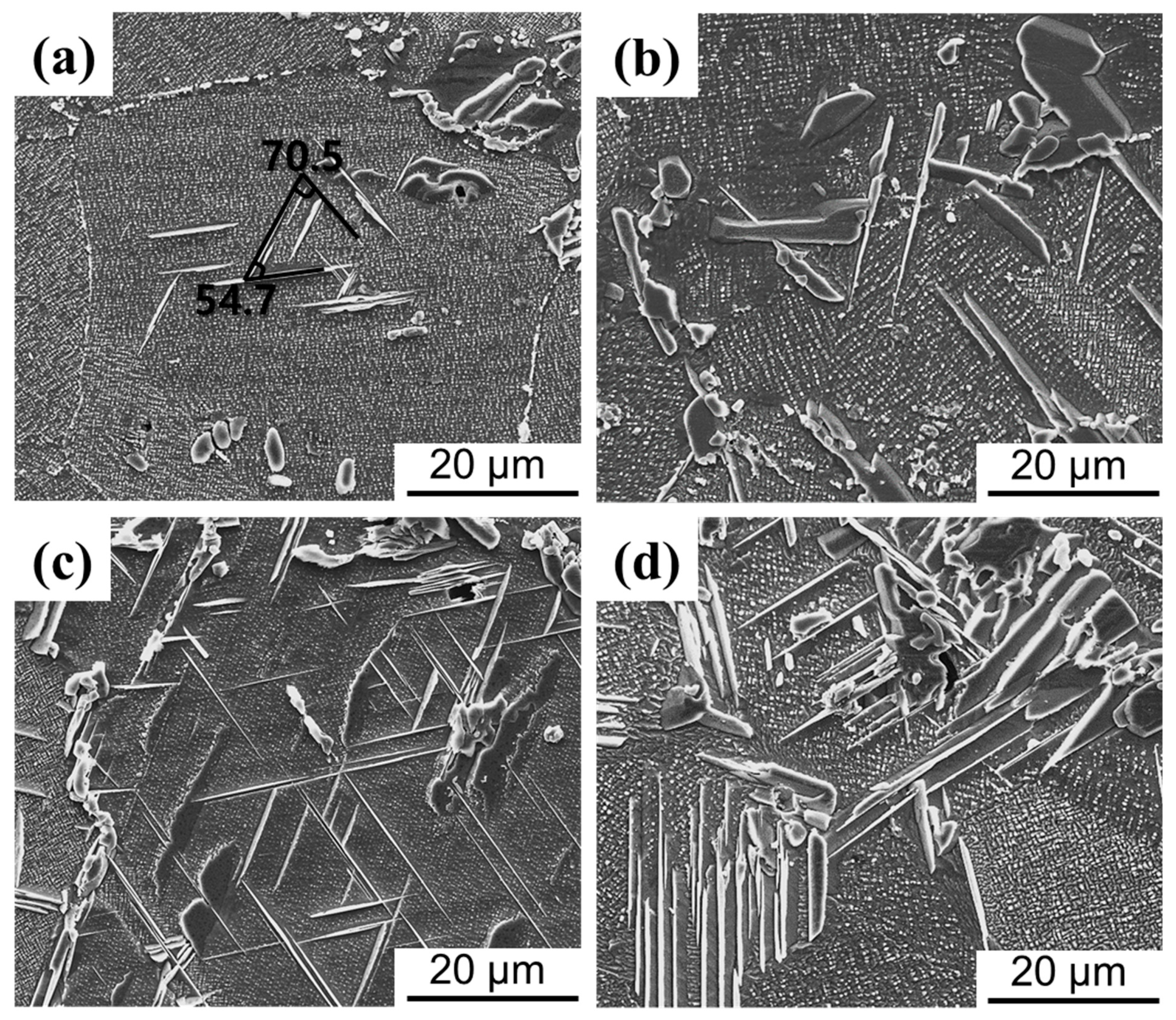 Metals 13 01959 g010