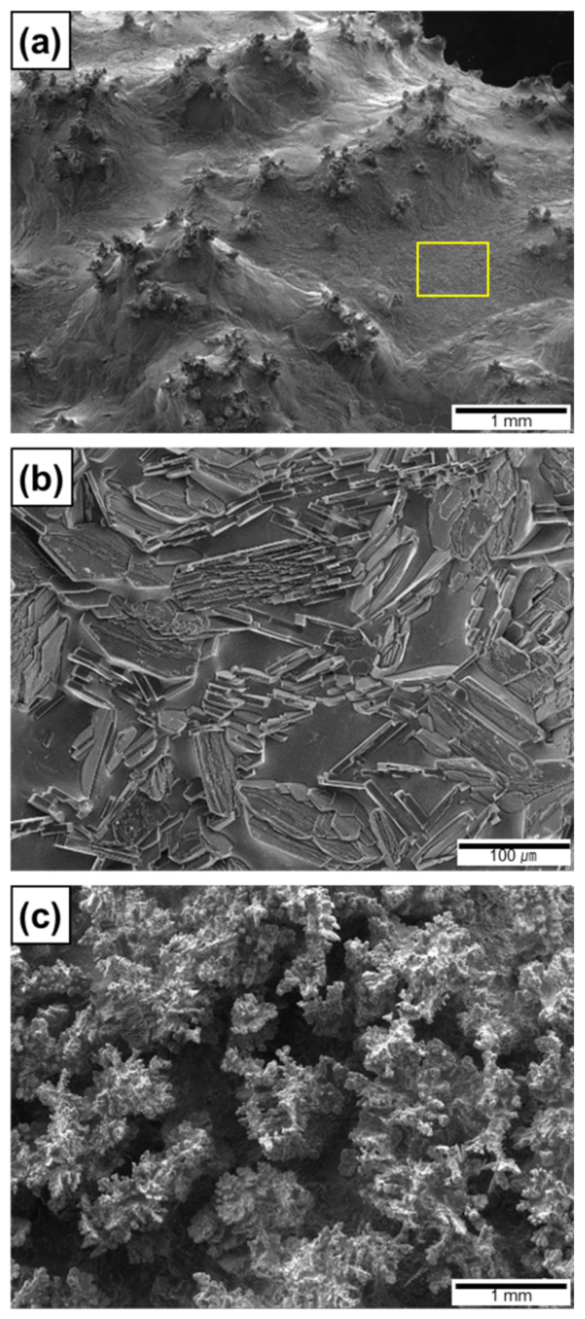 Metals 13 01967 g011