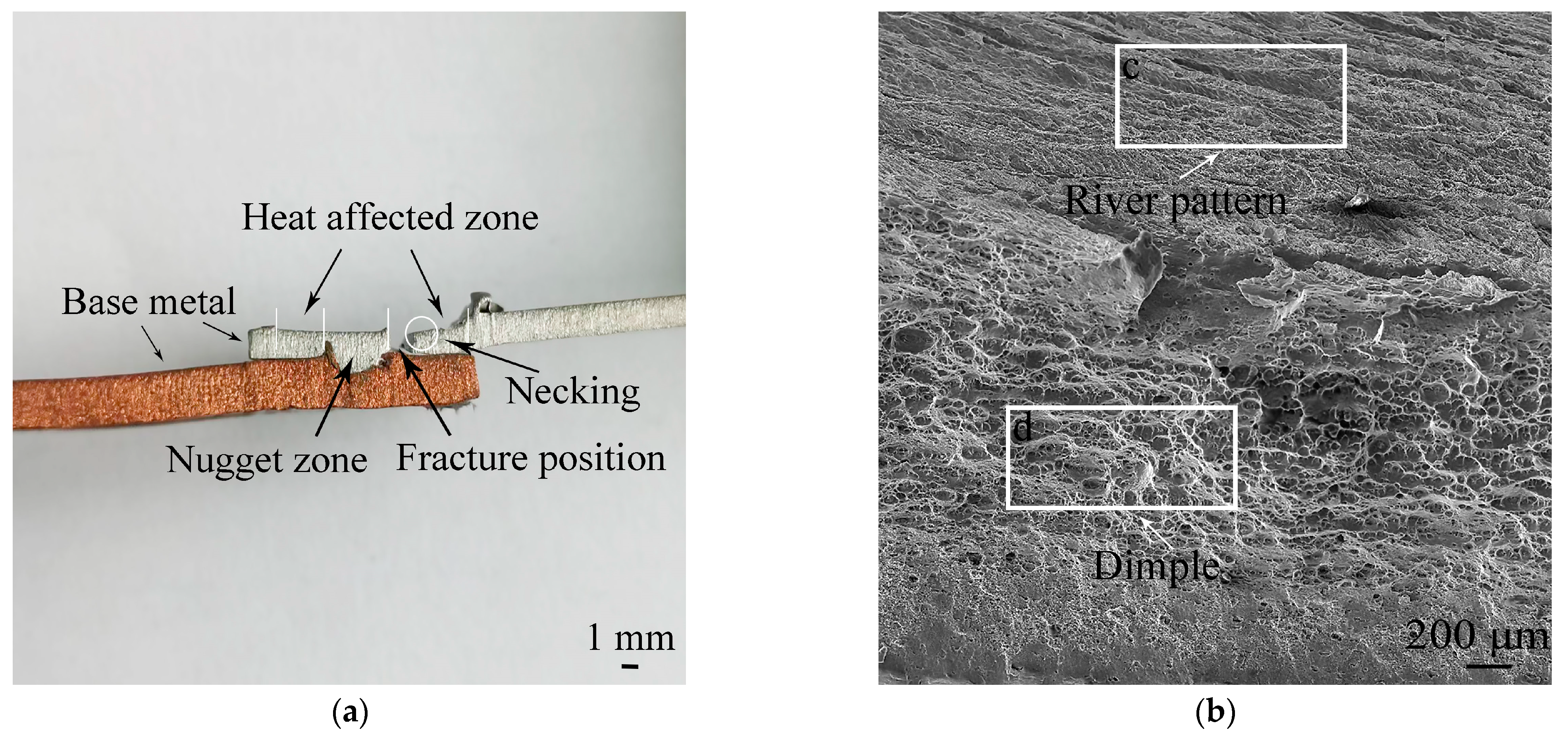 Metals 13 01969 g010a