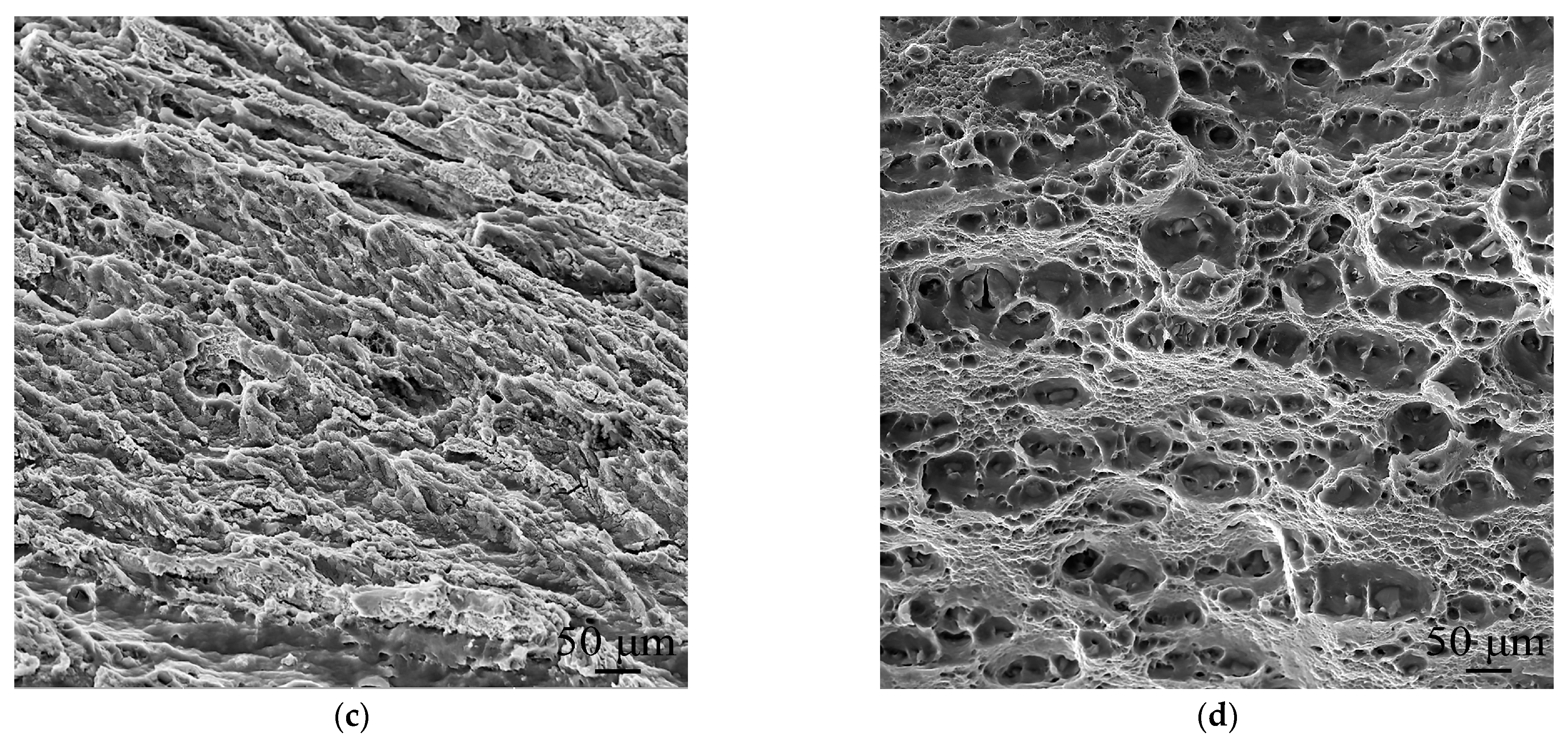 Metals 13 01969 g010b