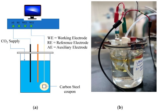 Metals 13 01974 g007