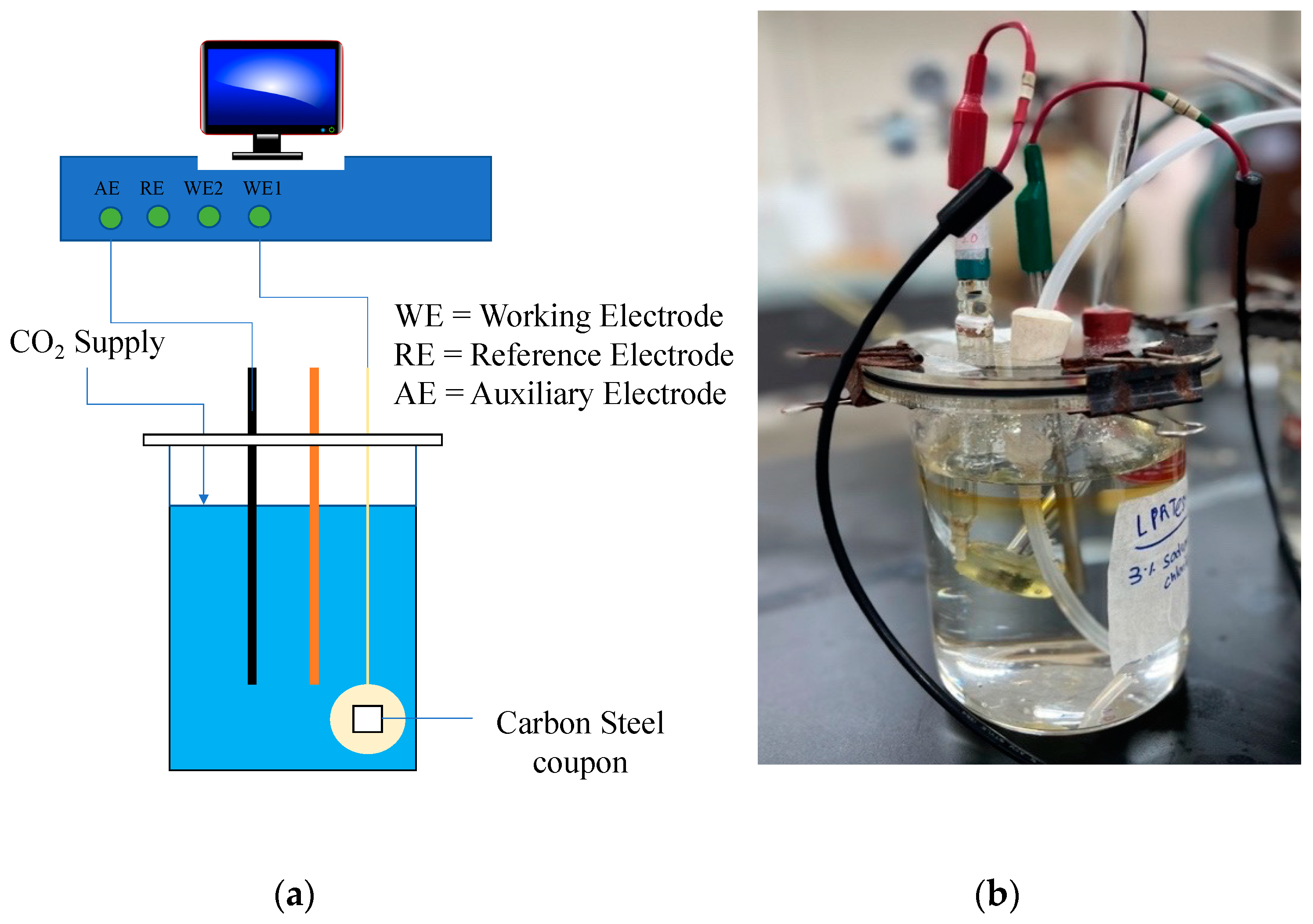 Metals 13 01974 g007