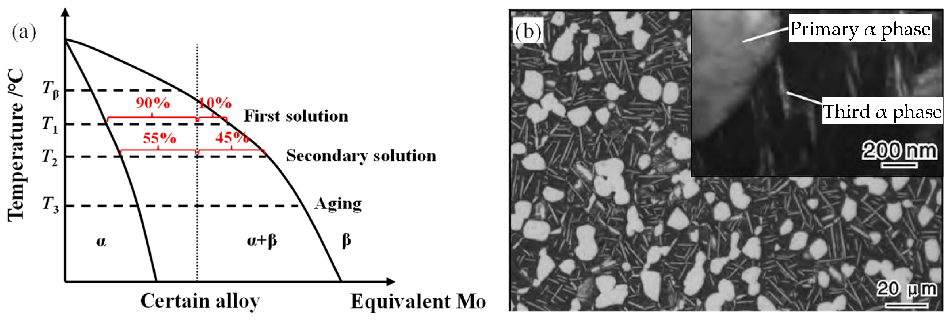 Metals 13 01975 g010