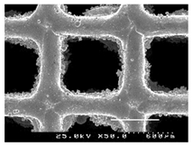 Metals 13 01982 i008