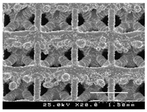 Metals 13 01982 i022