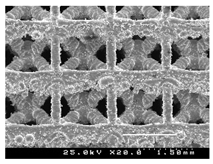 Metals 13 01982 i023