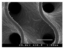 Metals 13 01982 i028