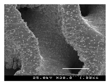 Metals 13 01982 i029