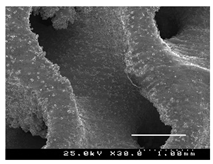 Metals 13 01982 i030