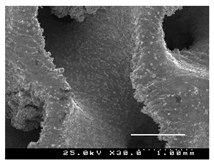 Metals 13 01982 i031