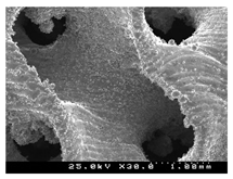 Metals 13 01982 i033