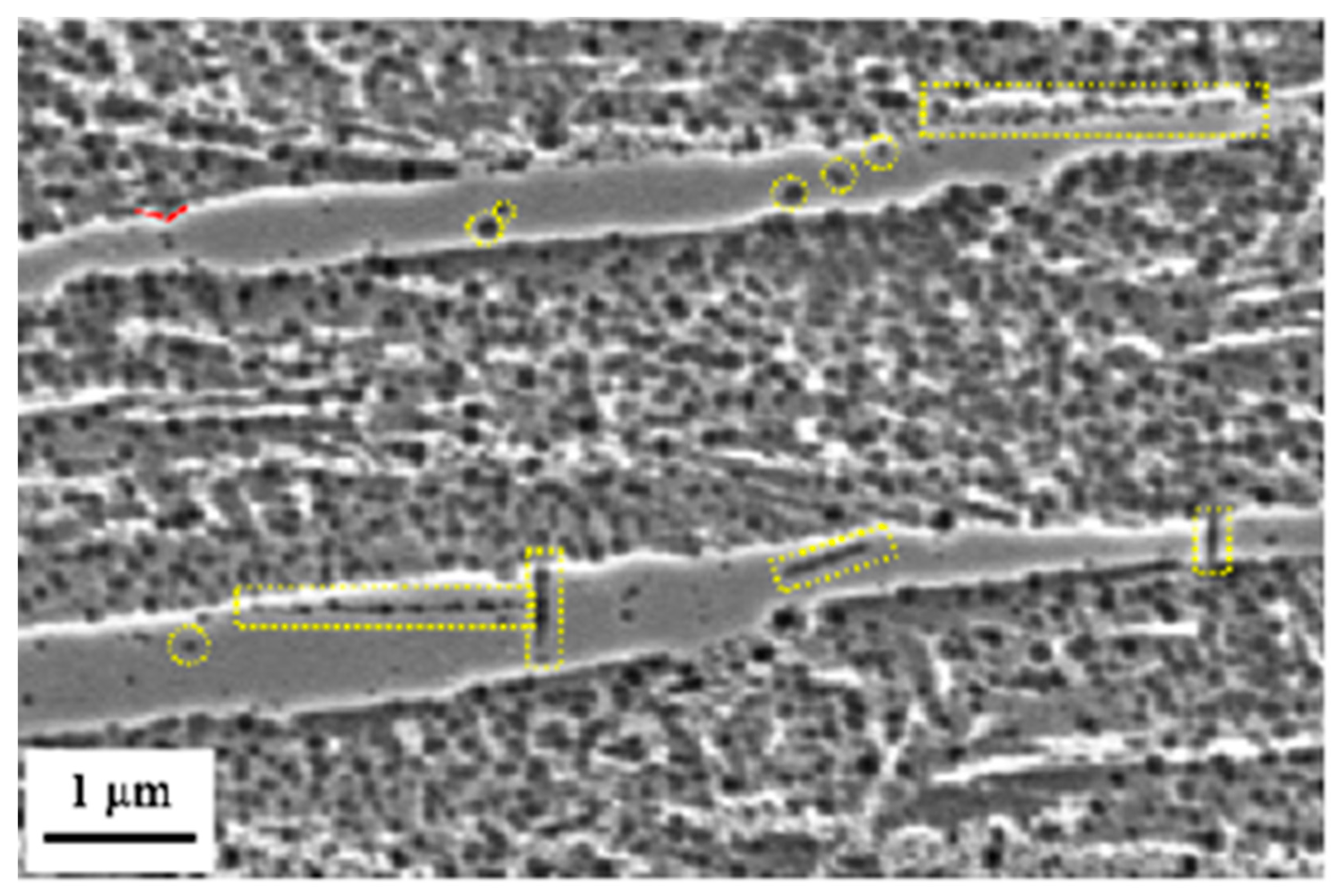 Metals 13 01983 g002