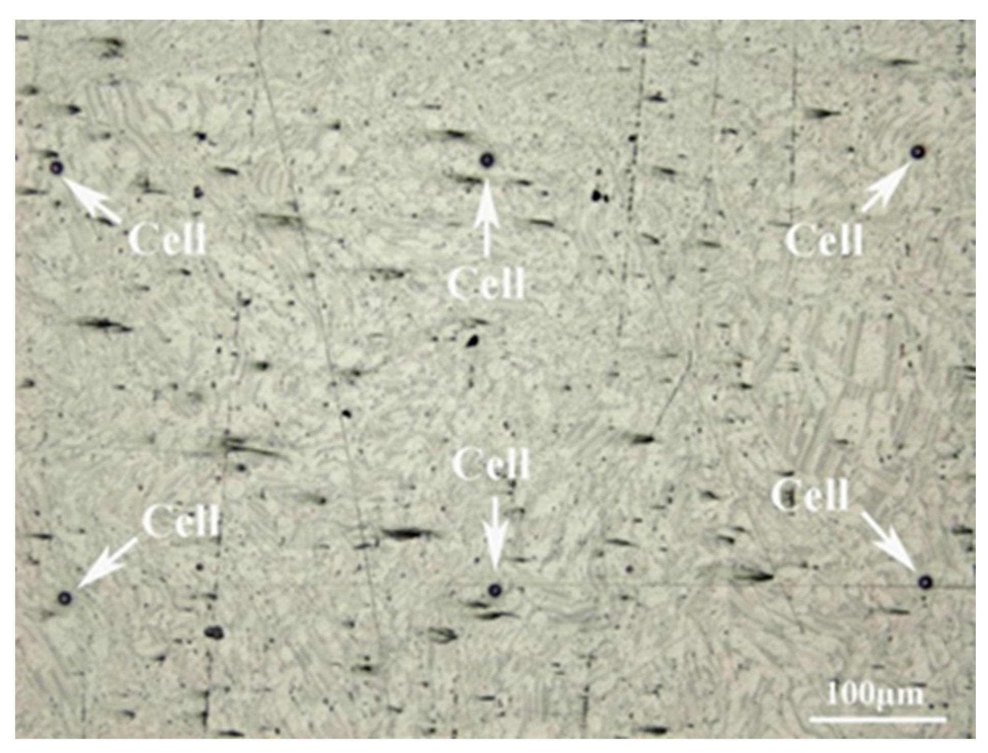 Metals 13 01989 g001