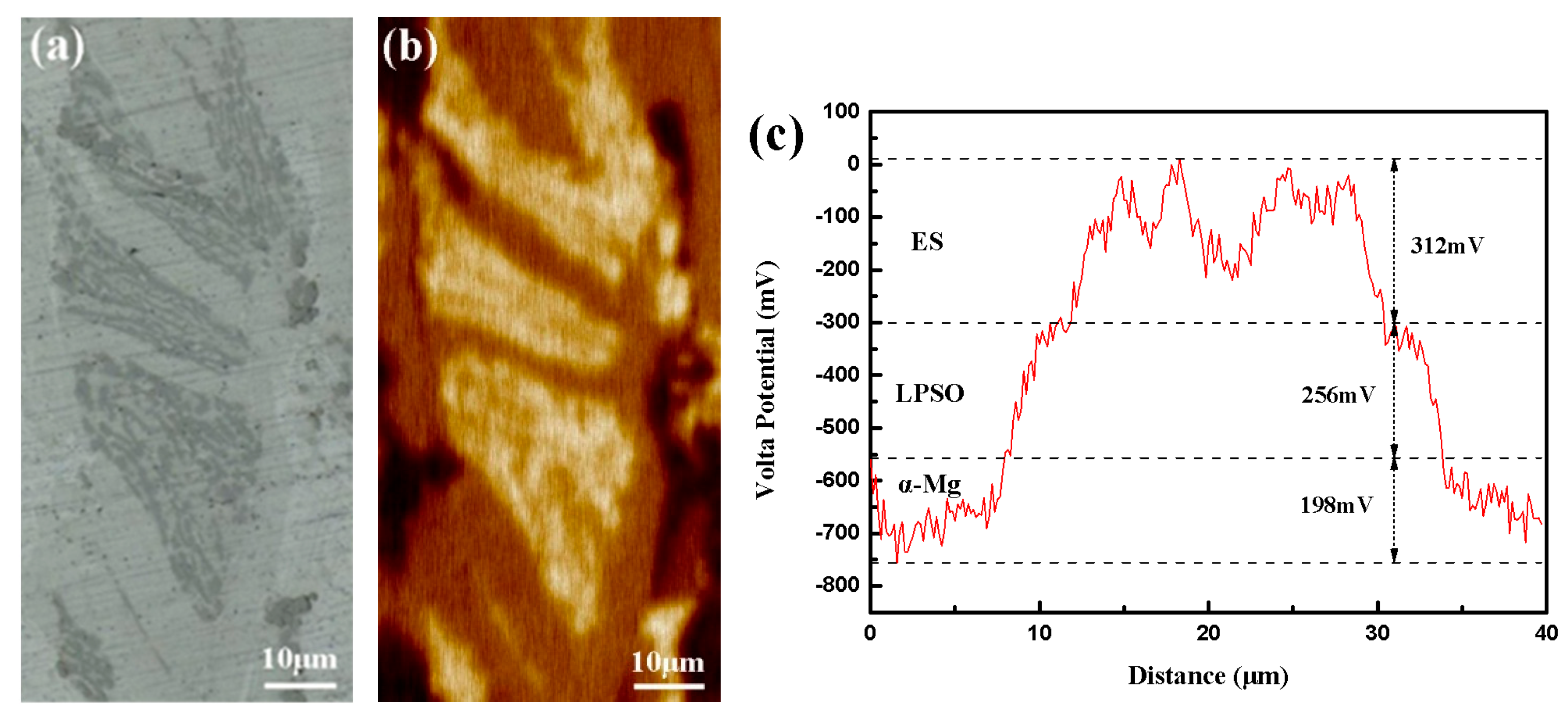 Metals 13 01989 g012