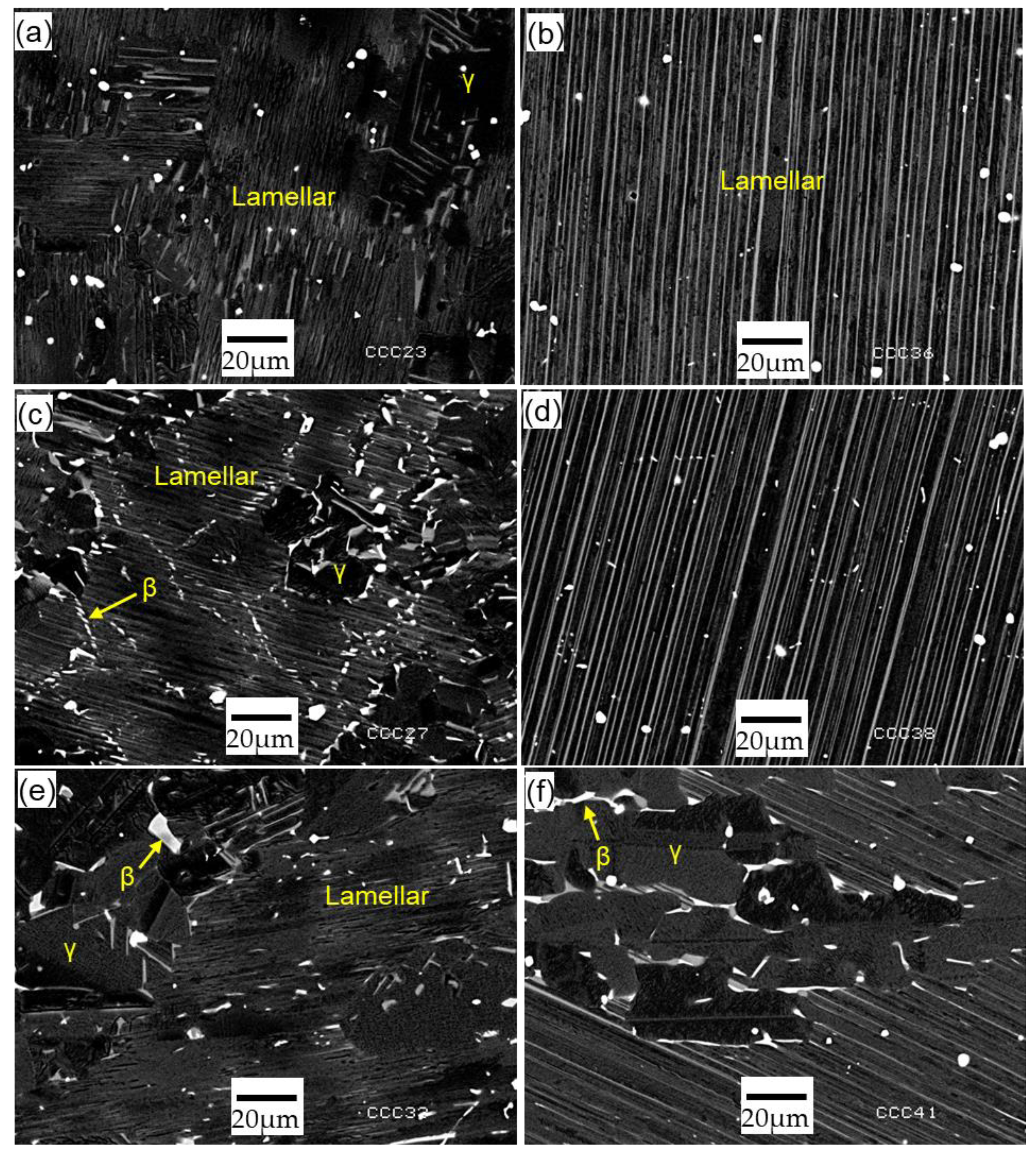 Metals 13 01991 g004