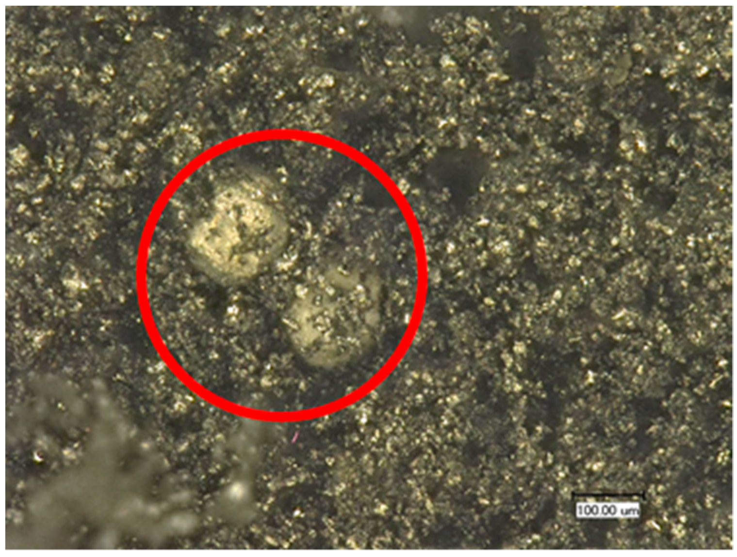 Metals 13 02000 g010