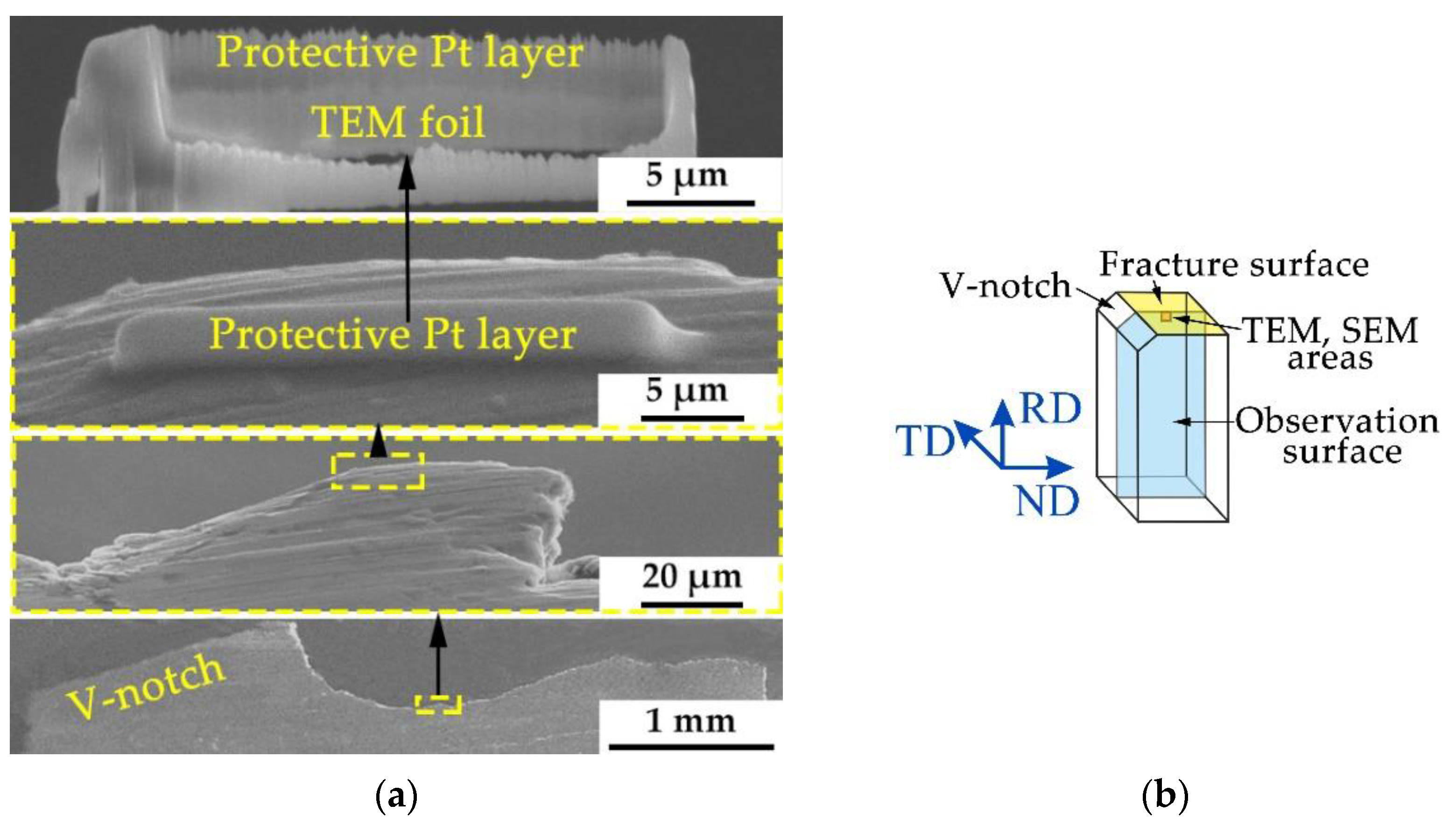Metals 13 02012 g002