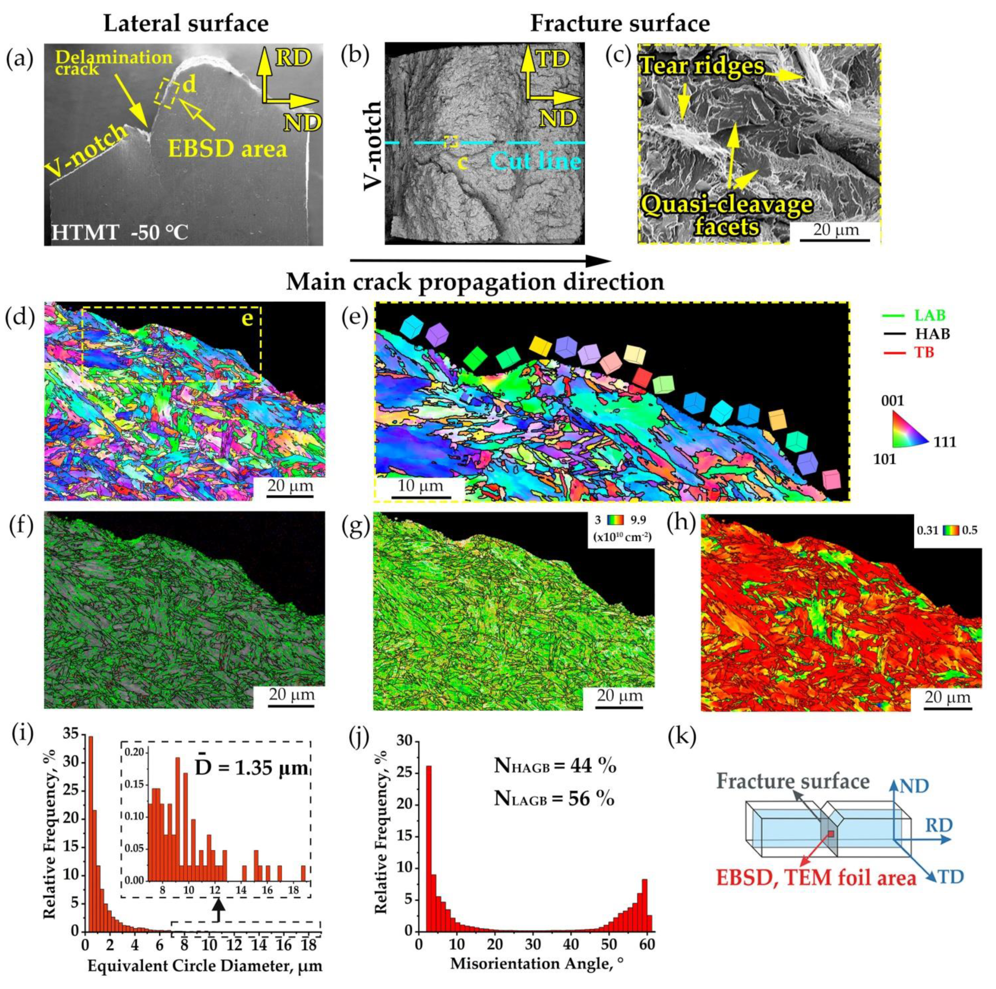 Metals 13 02012 g010