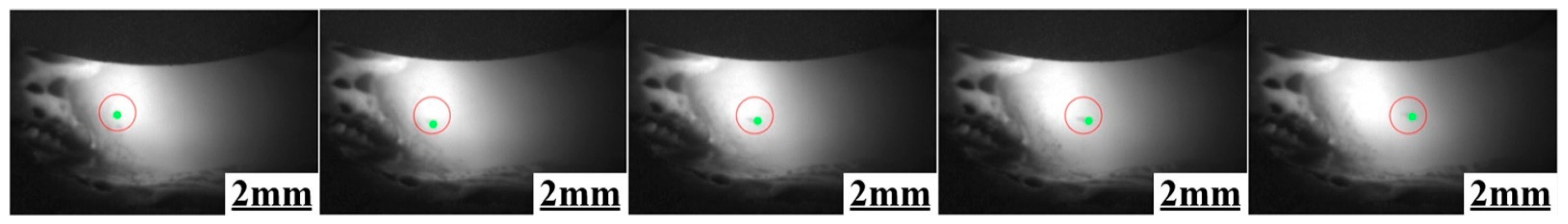 Metals 13 02017 g011