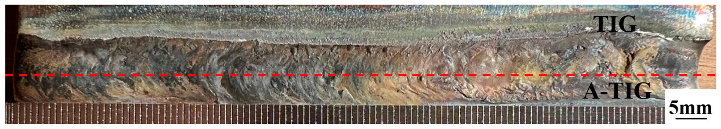 Metals 13 02017 g013