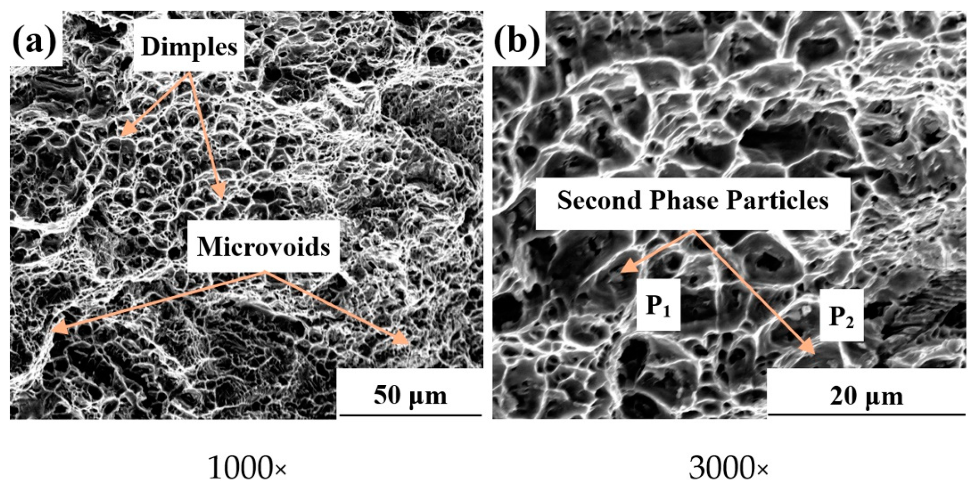 Metals 13 02017 g021