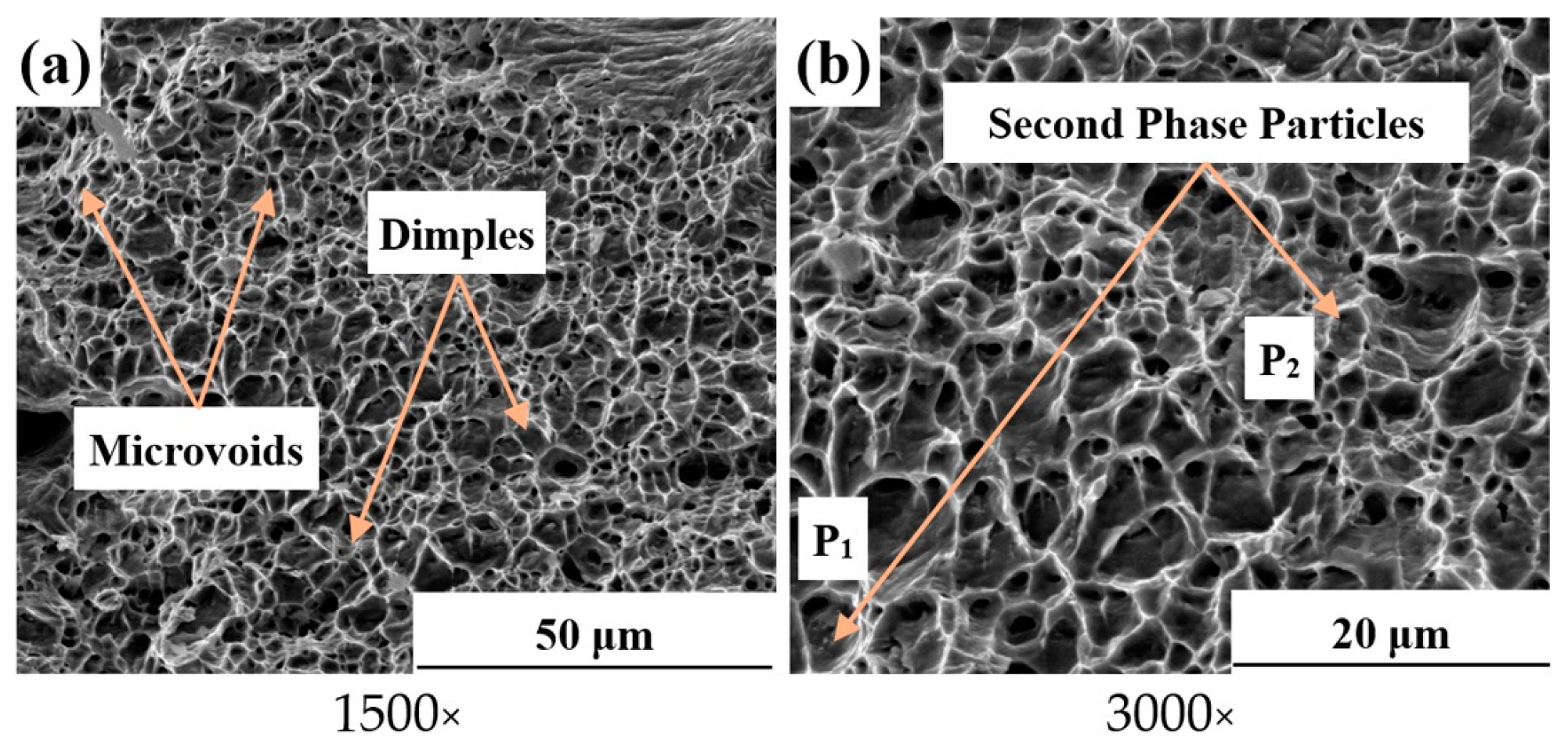 Metals 13 02017 g025