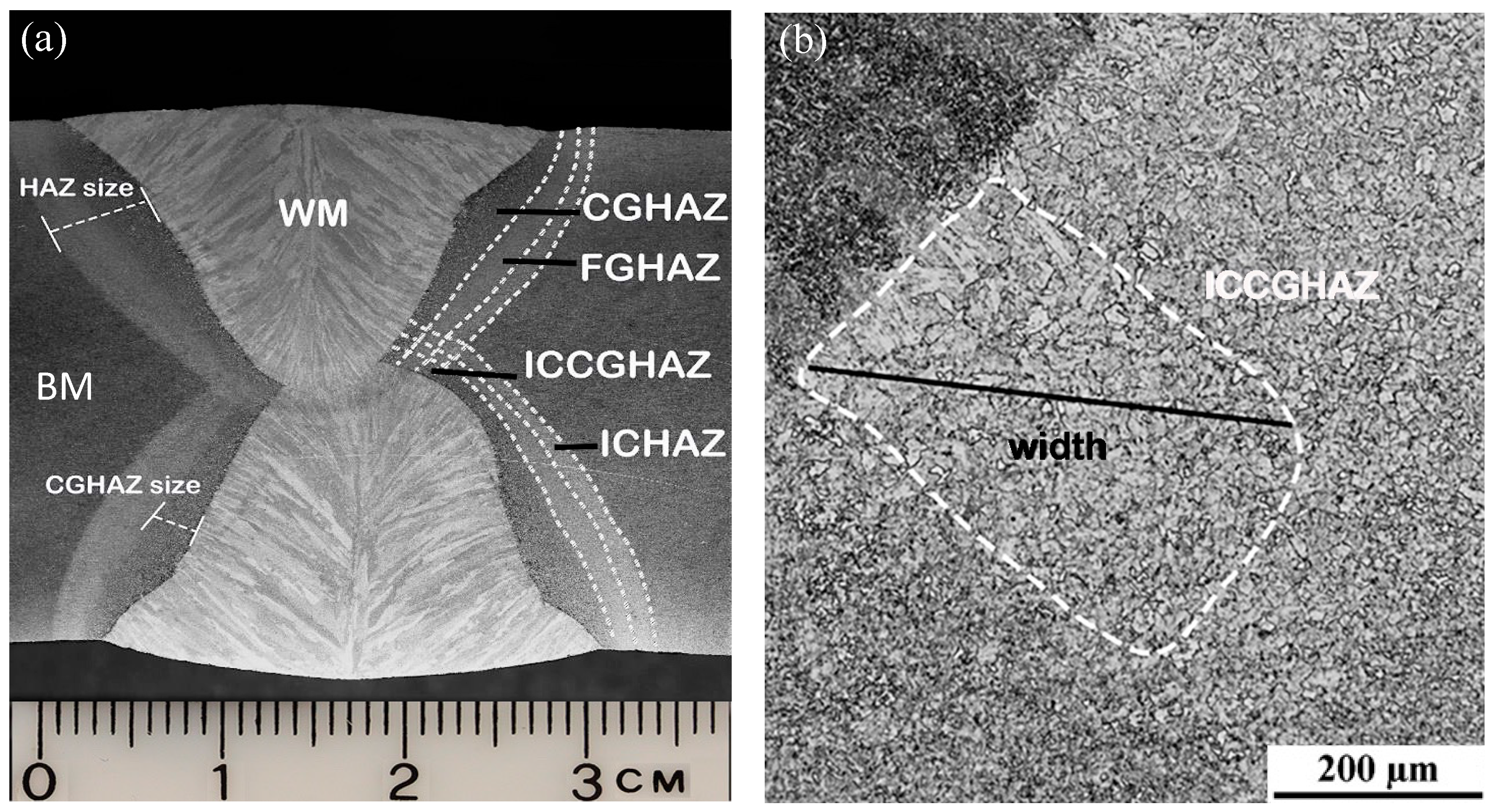 Metals 13 02018 g010