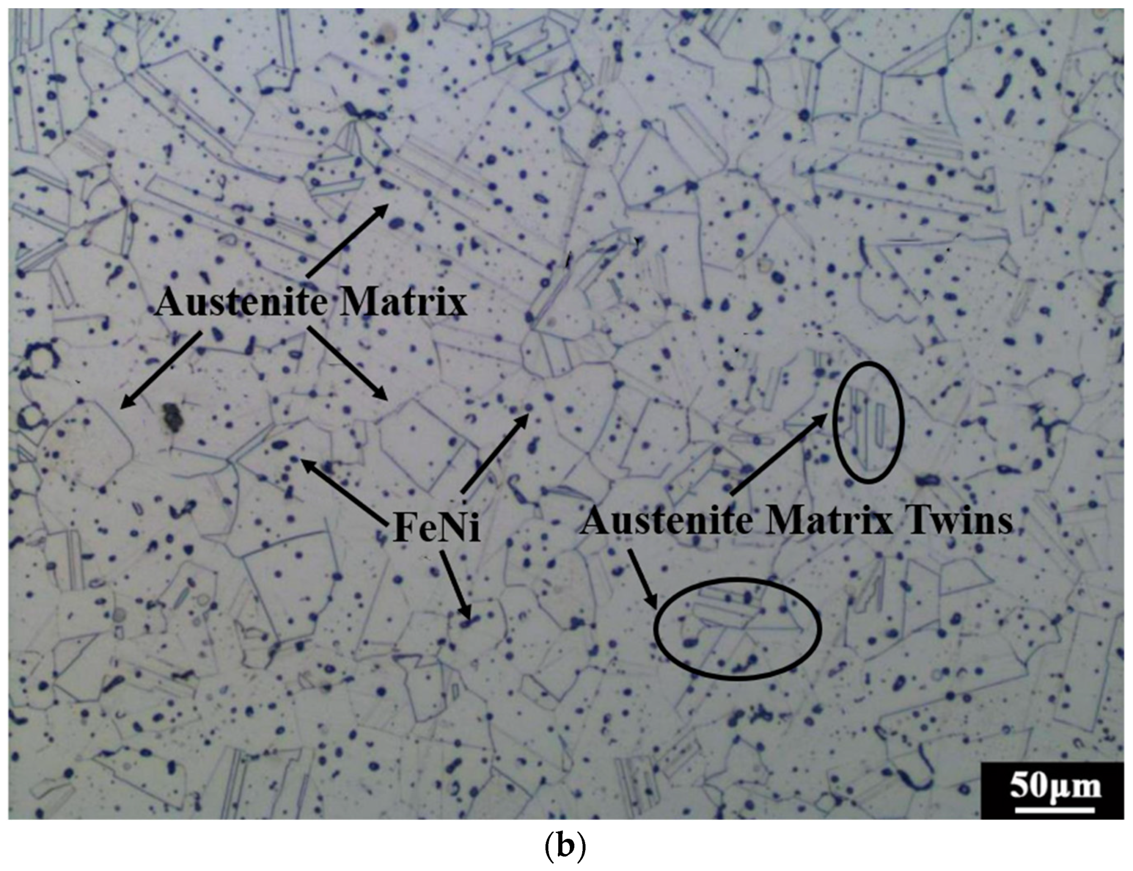 Metals 13 02022 g007b