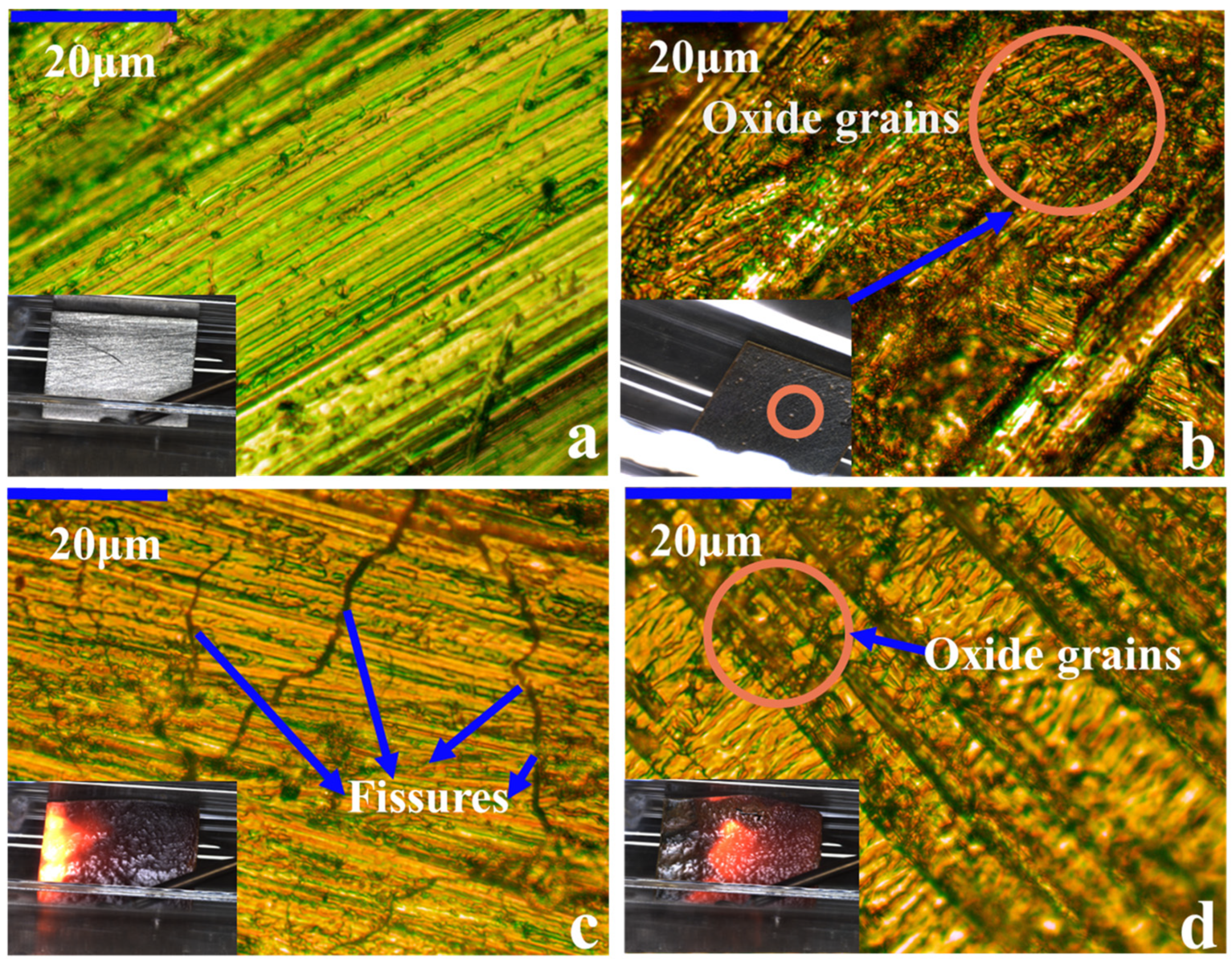 Metals 14 00003 g008
