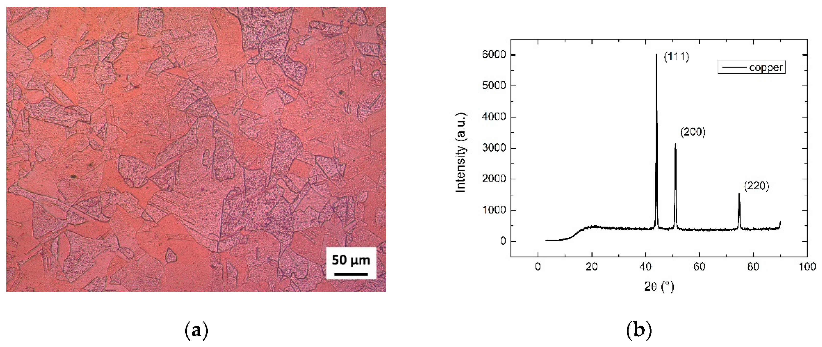 Metals 14 00004 g004