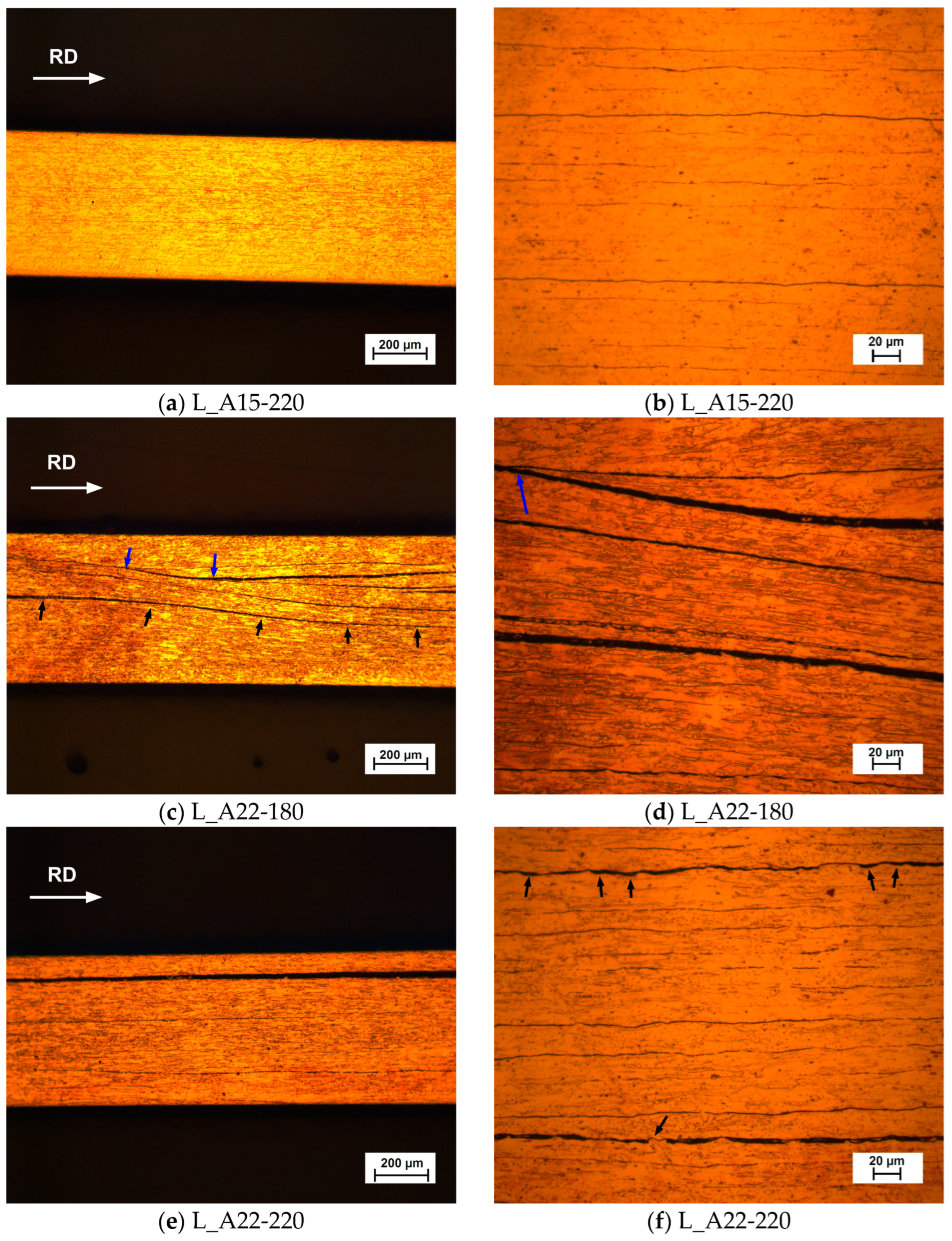 Metals 14 00004 g006