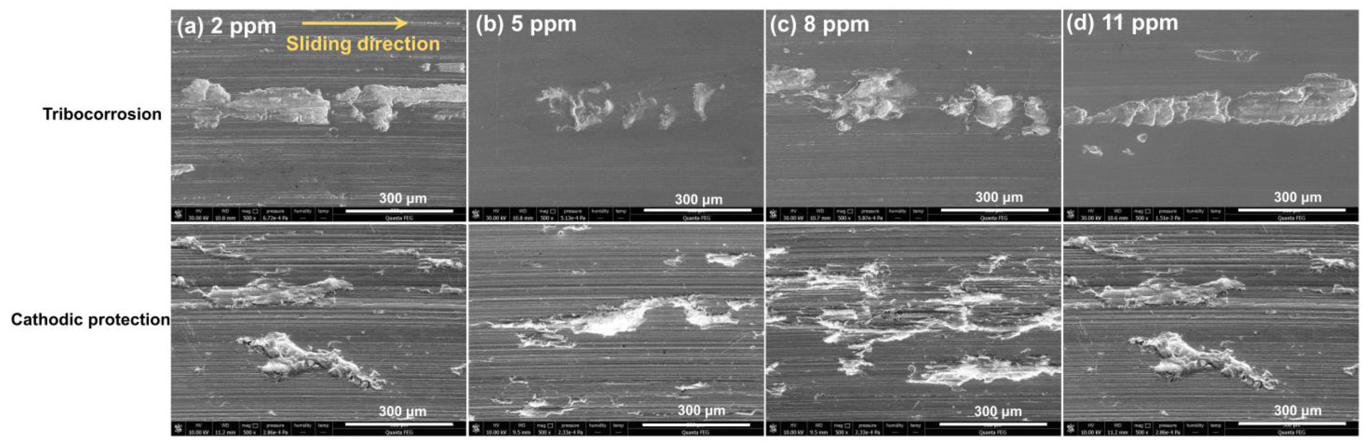 Metals 14 00006 g005