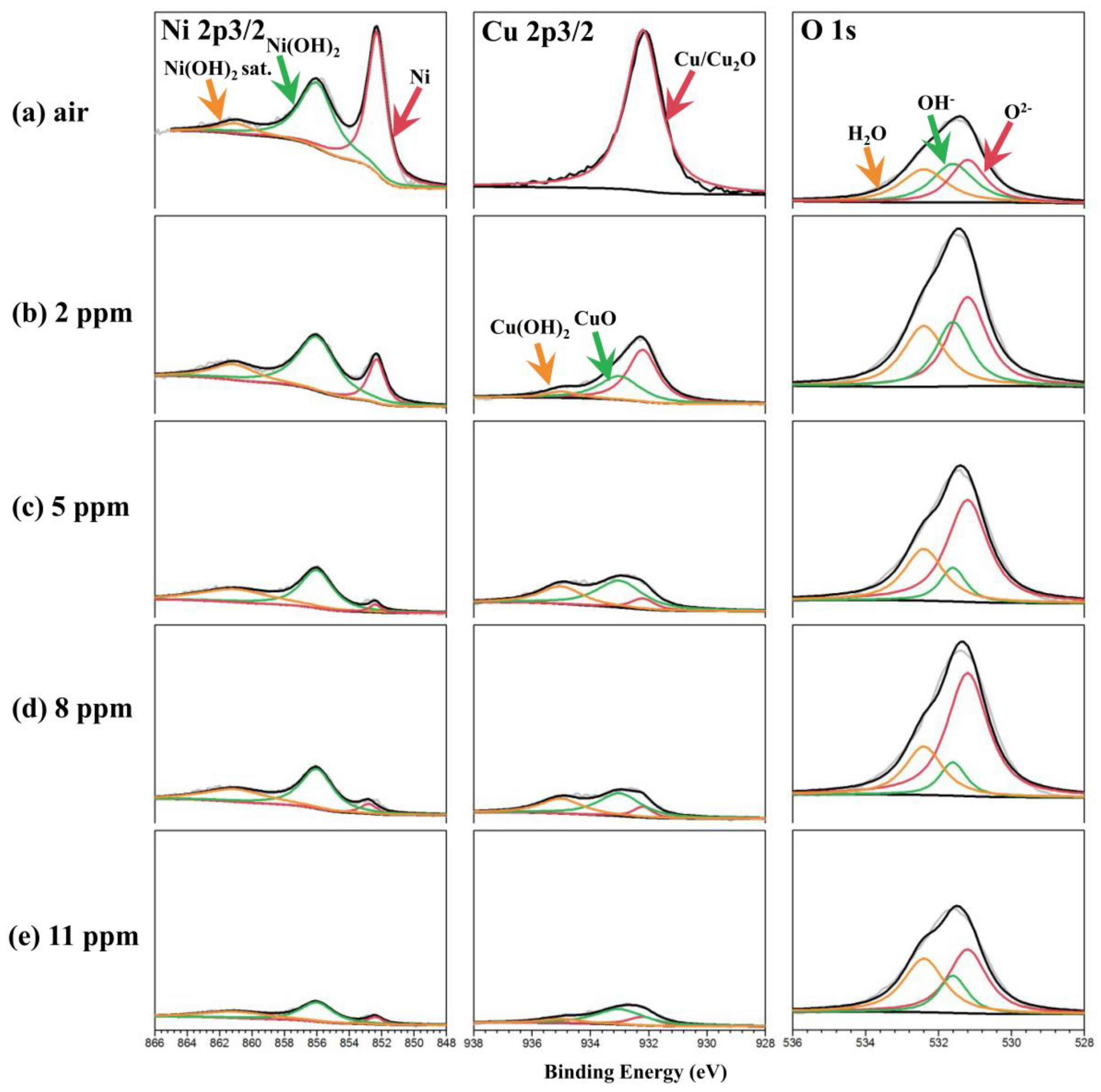 Metals 14 00006 g007