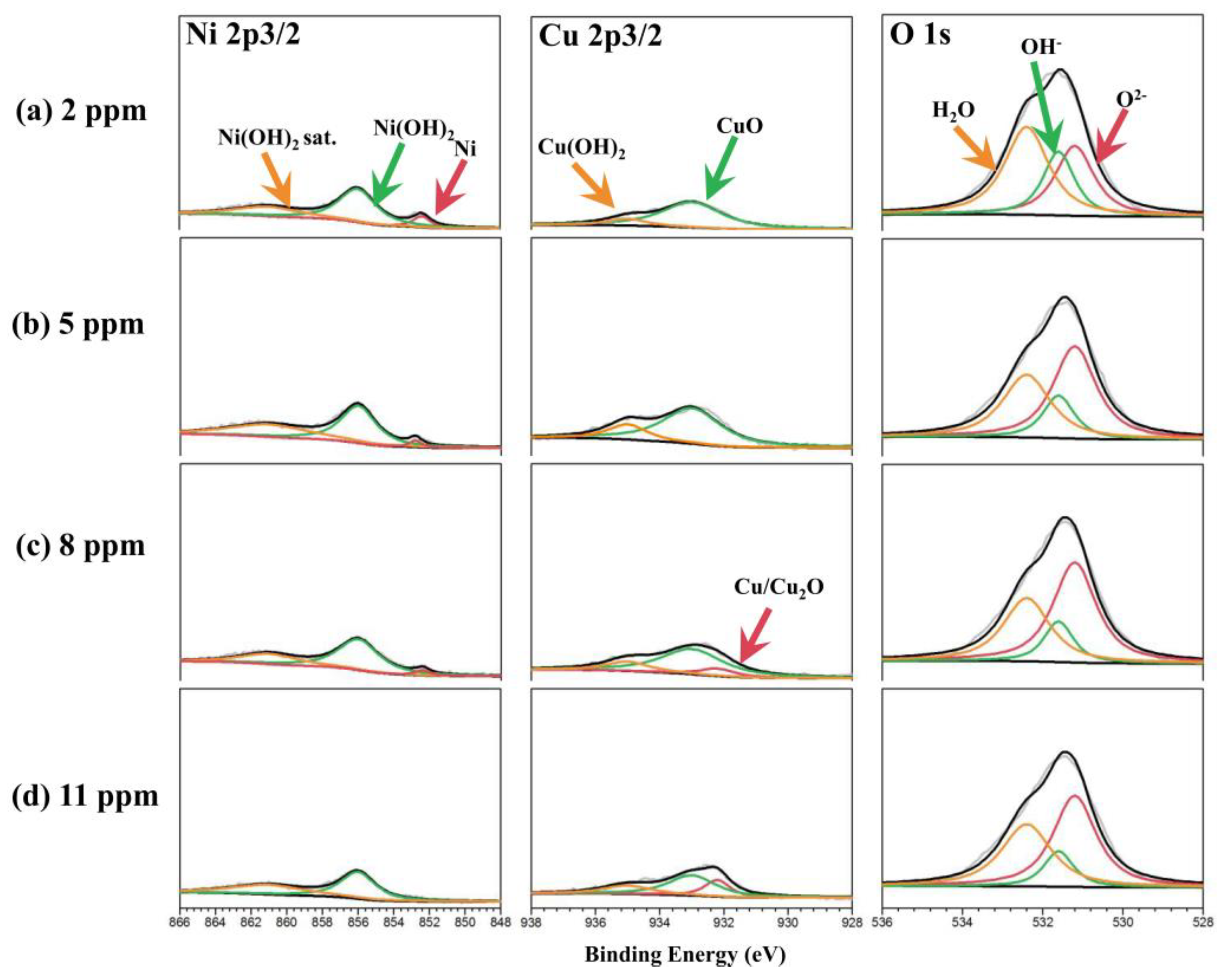 Metals 14 00006 g009