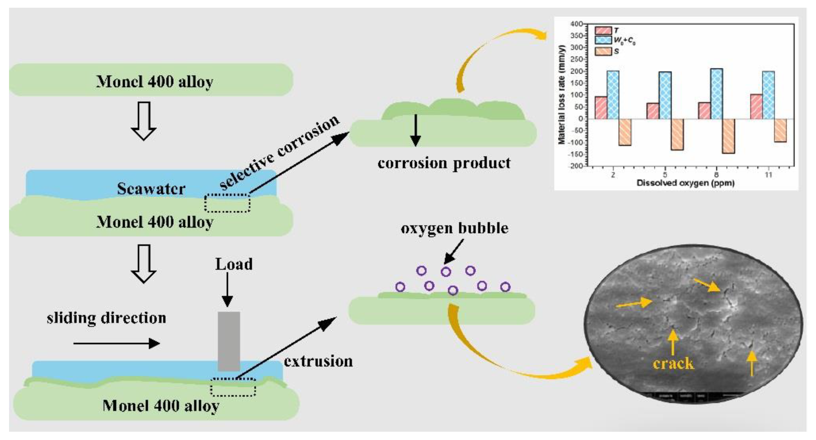 Metals 14 00006 g011