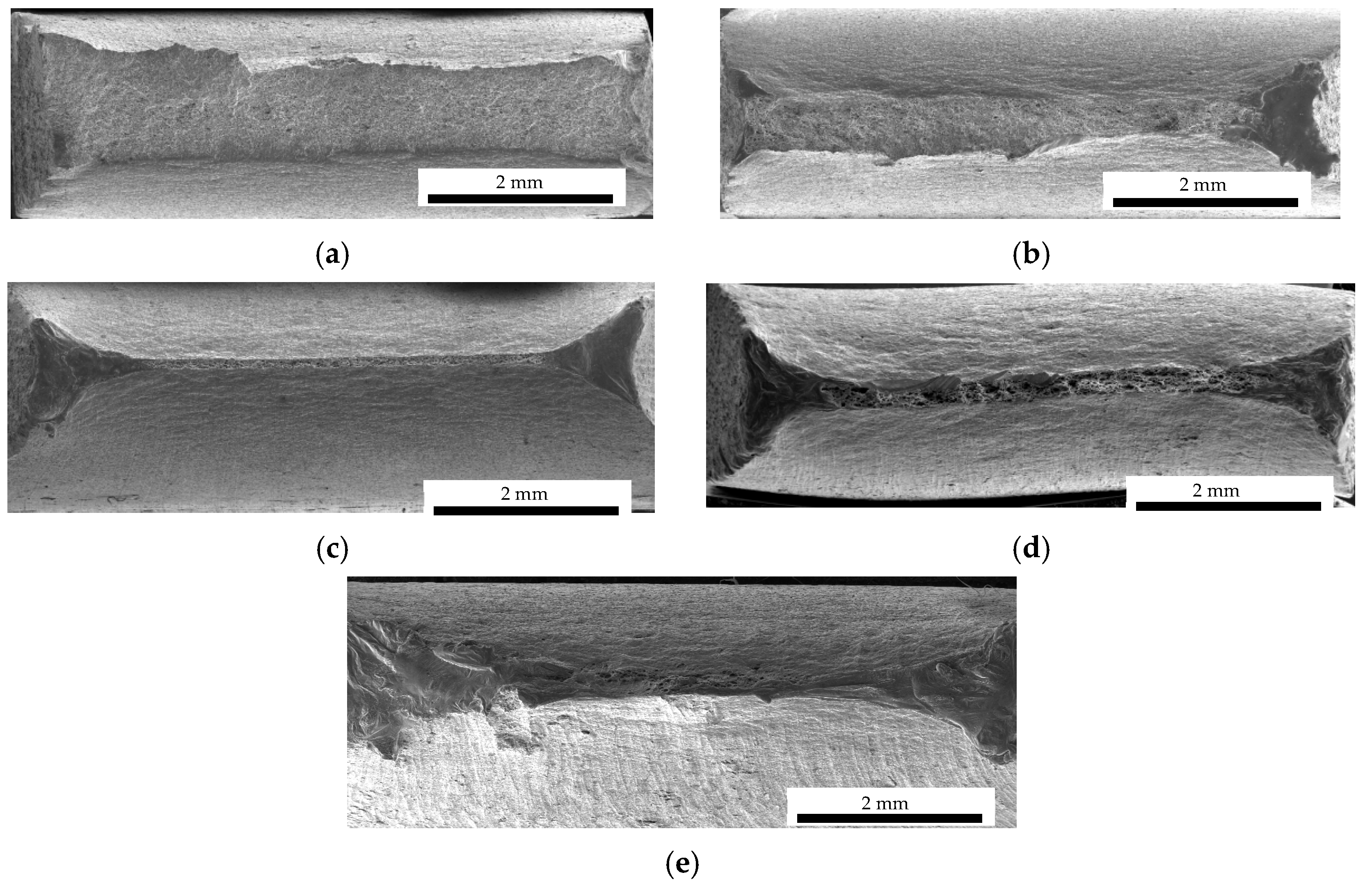 Metals 14 00007 g005