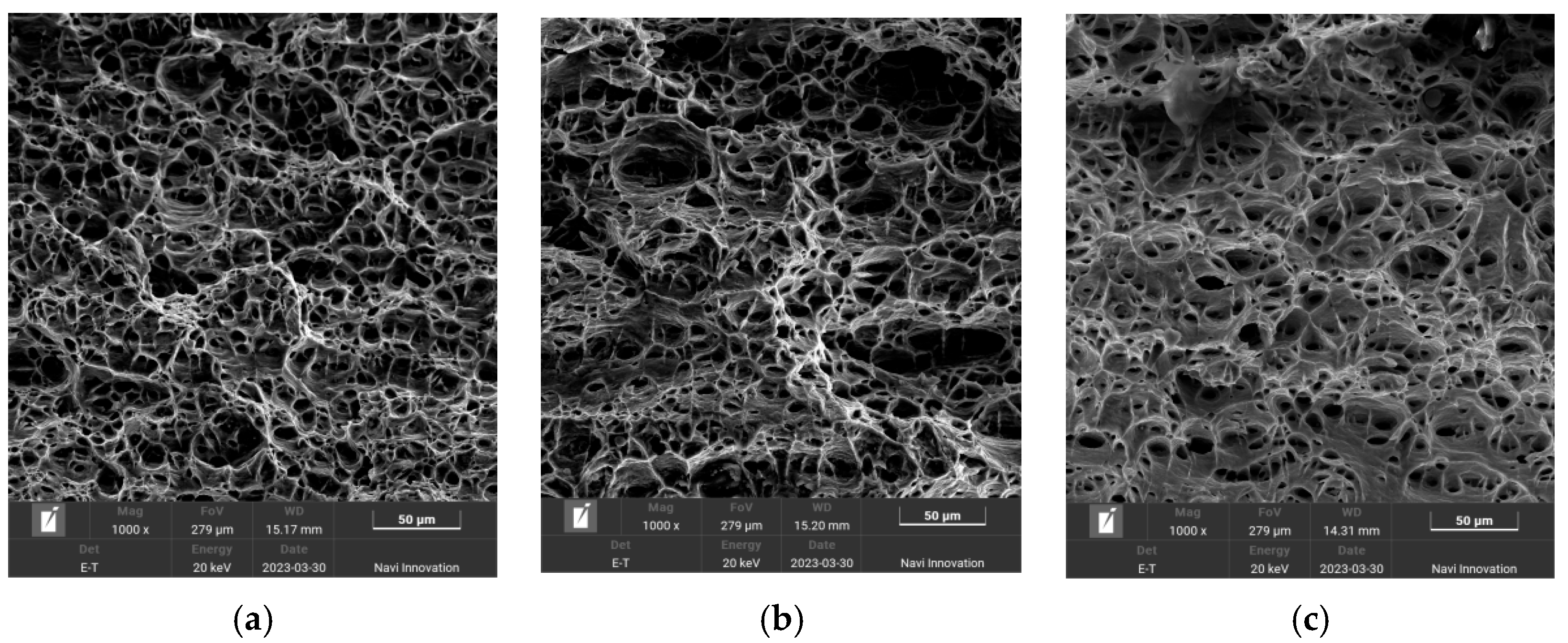 Metals 14 00007 g006a