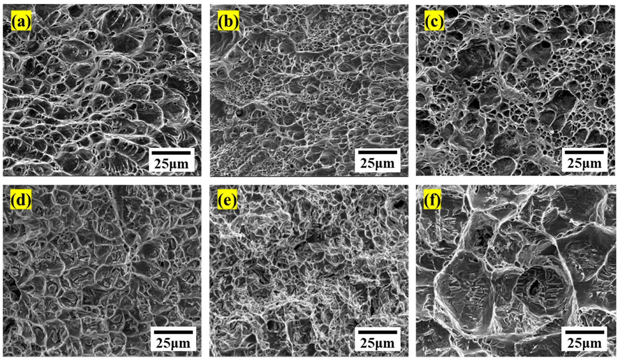 Metals 14 00016 g007